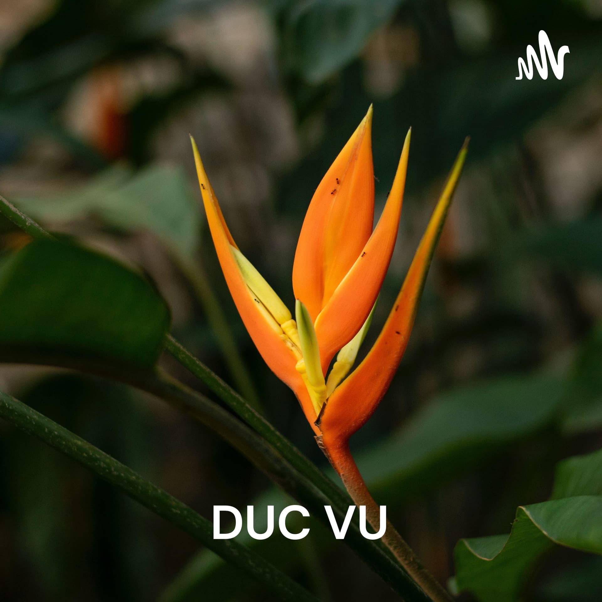 DUC VU - "THE MORE WE SHARE, THE MORE WE HAVE - Sống là trải nghiệm và chia sẻ đam mê" - Podcasts