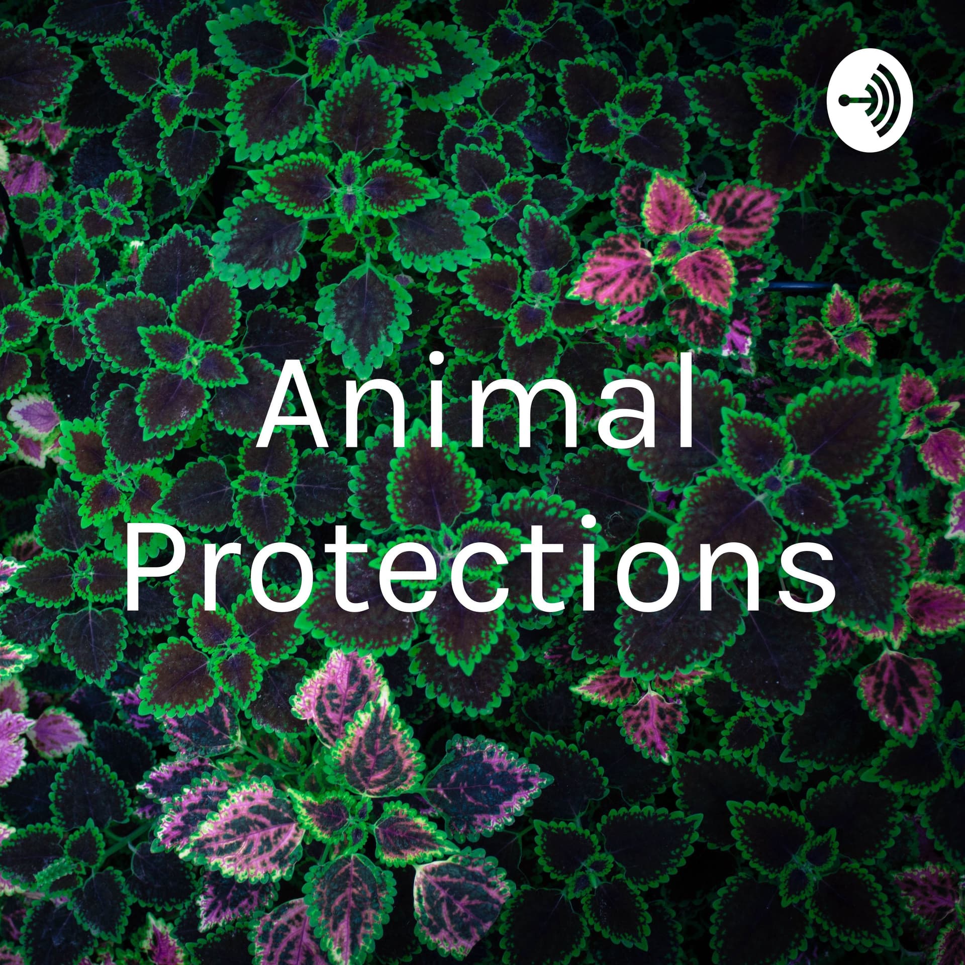 Animal Protections - Podcasts