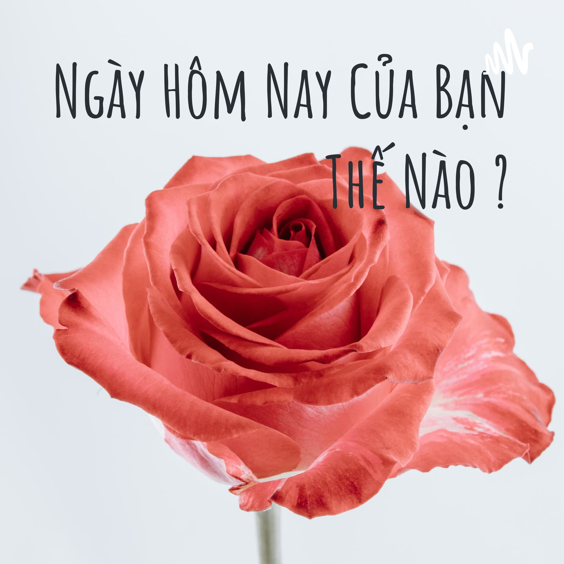 Ngày Hôm Nay Của Bạn Thế Nào ? - Podcasts