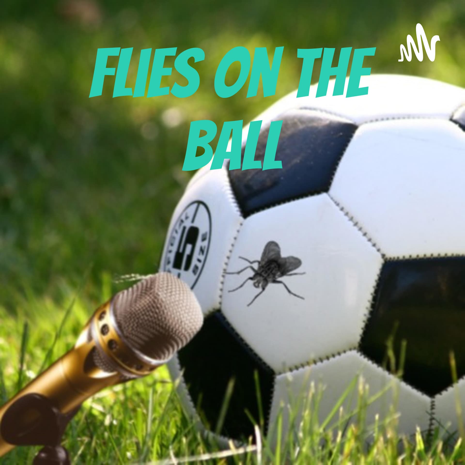 A Flies on the Ball Podcast - Podcasts