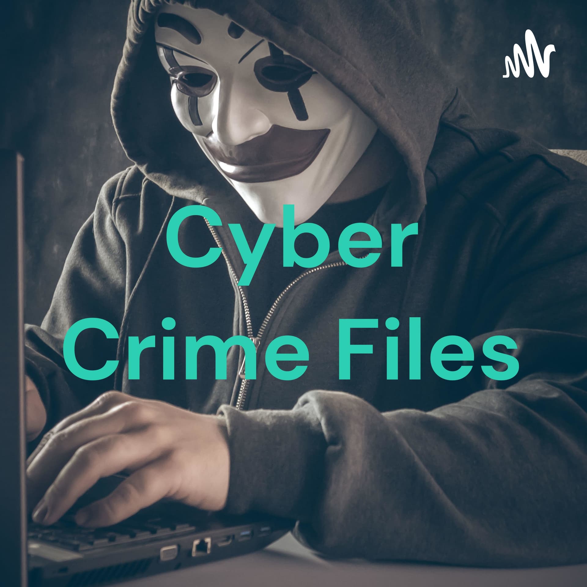 Cyber Crime Files