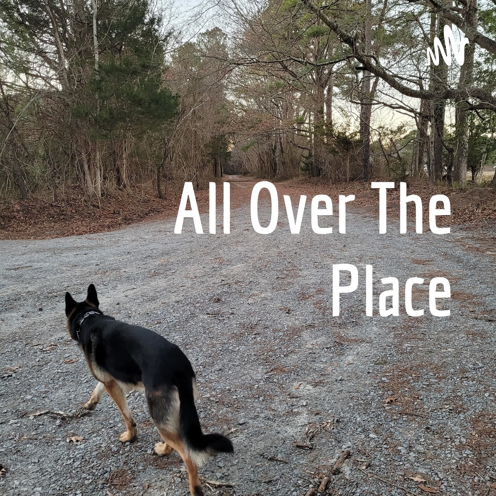 All Over The Place: Wit, Whiskey and Wisdom - Podcasts