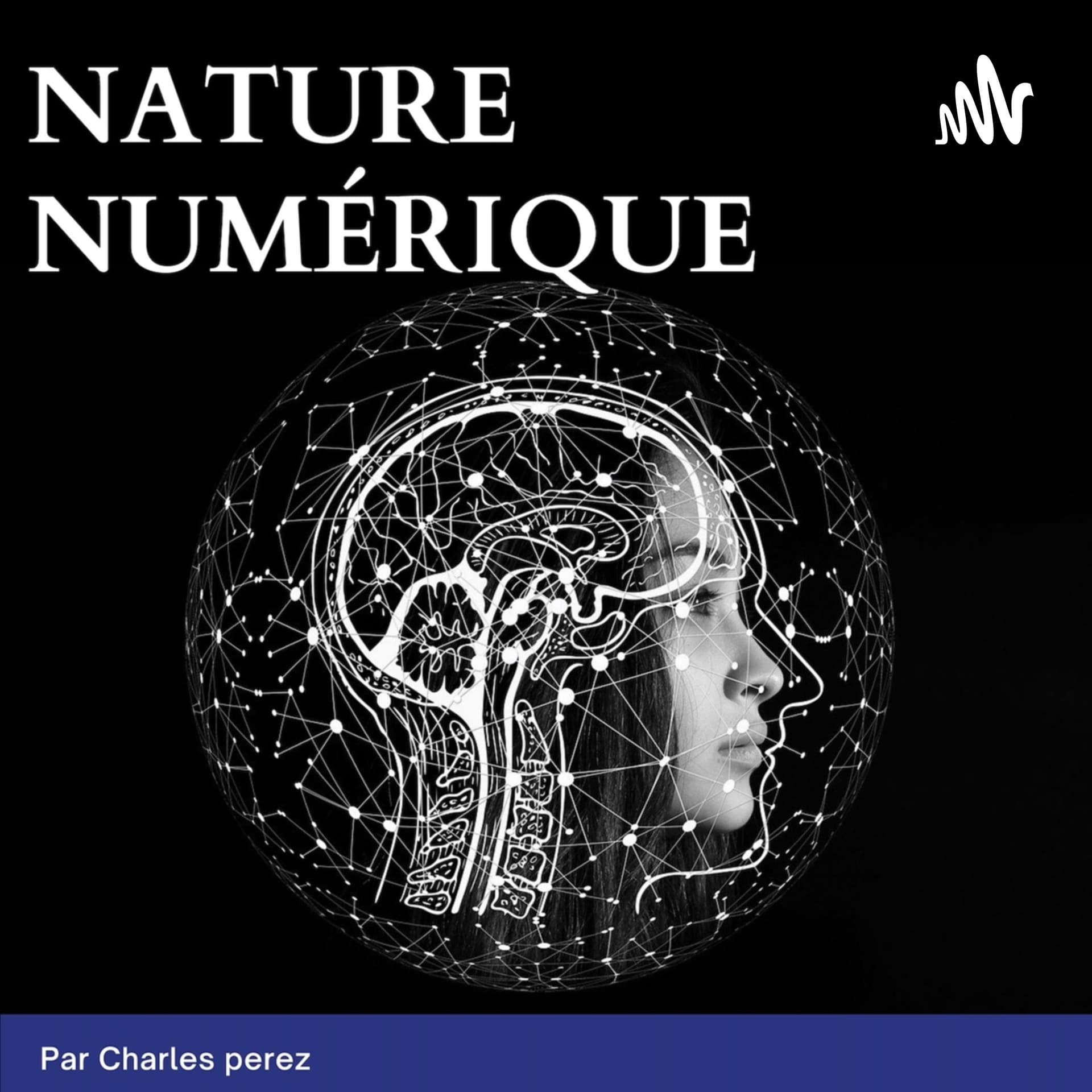 Nature numérique - Podcasts