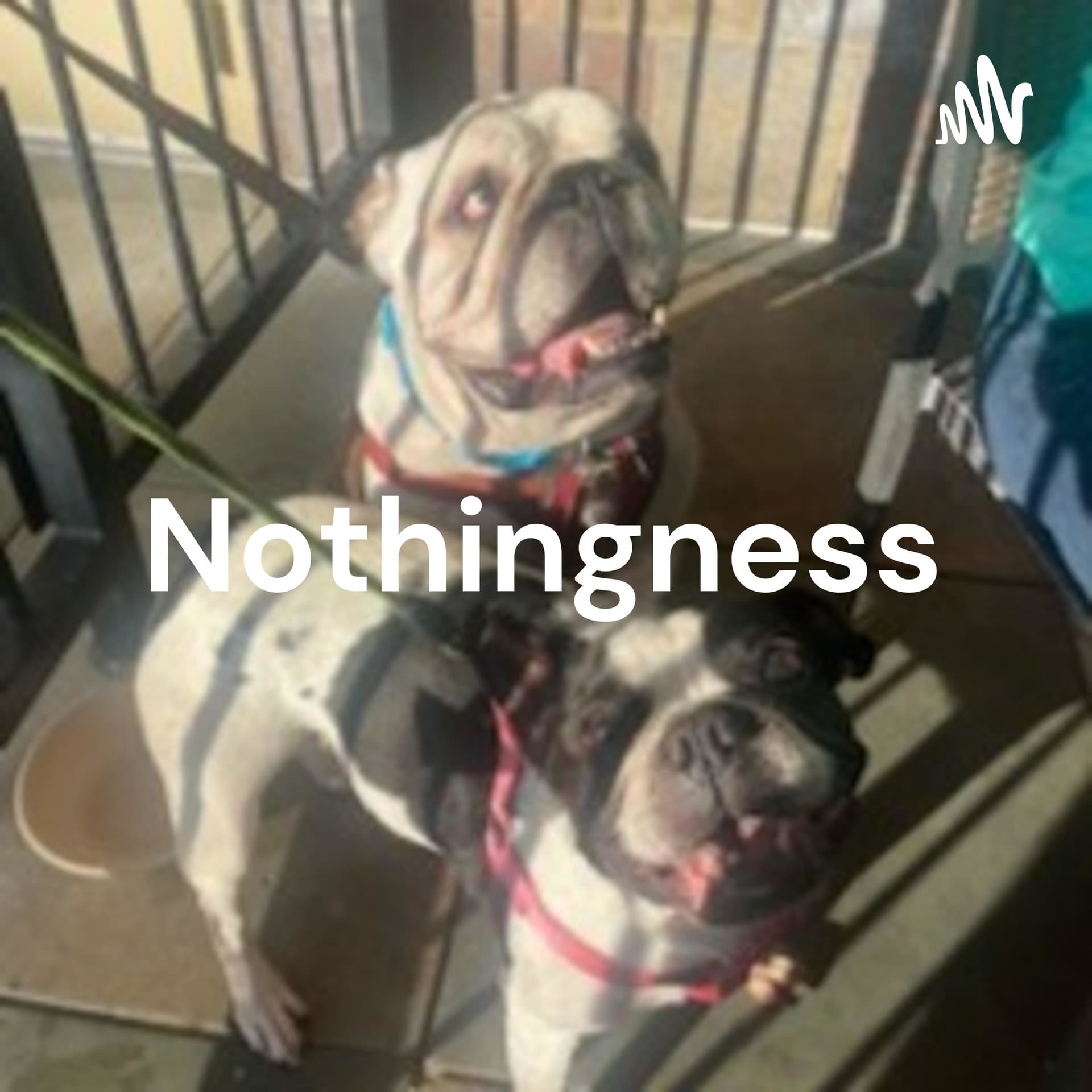 Nothingness: The Podcast About Nothing - Podcasts