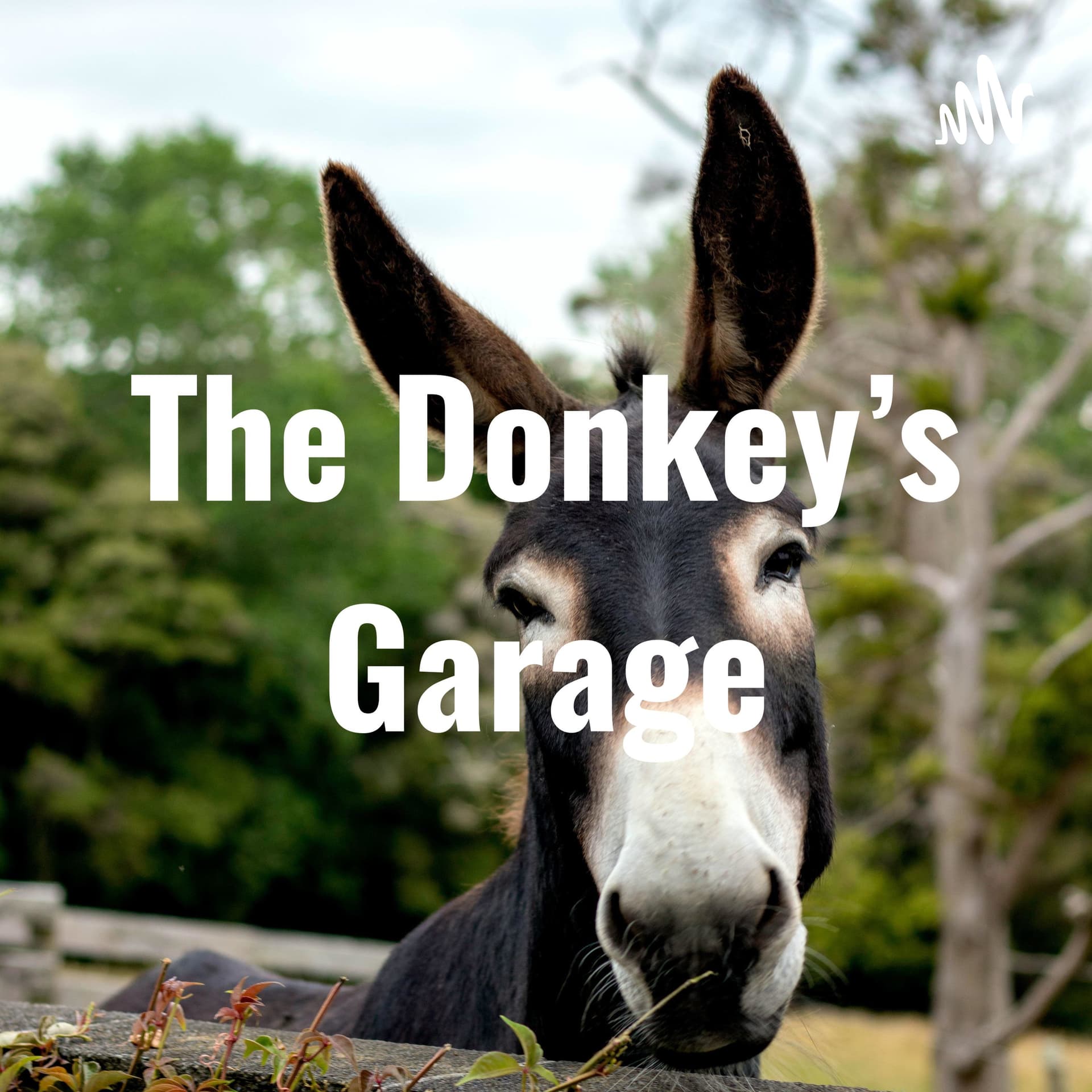 The Donkey's Garage - Podcasts
