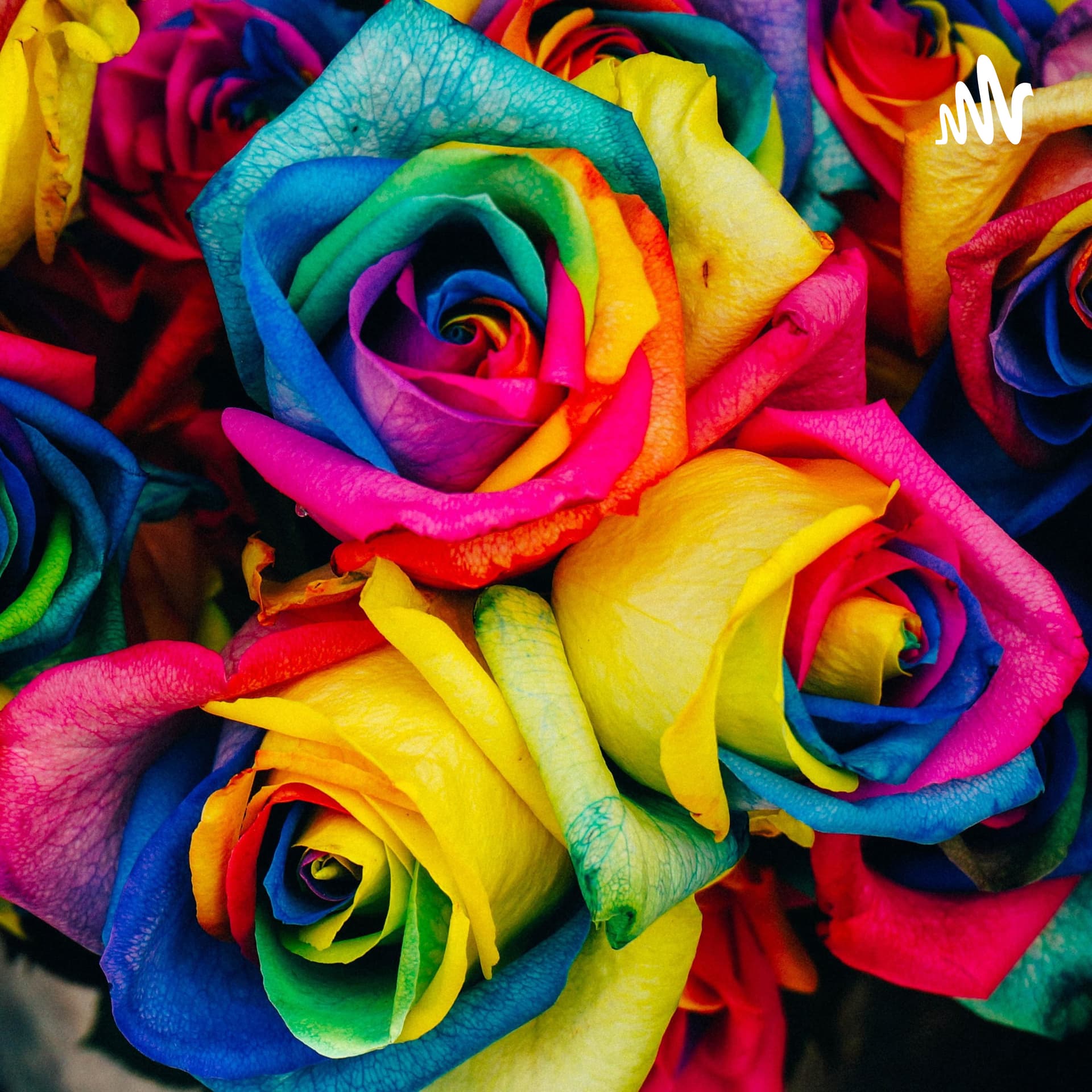 Flowers for Zoe - Stories for Dennis: A Fentanyl Addiction and Recovery Diary - Podcasts