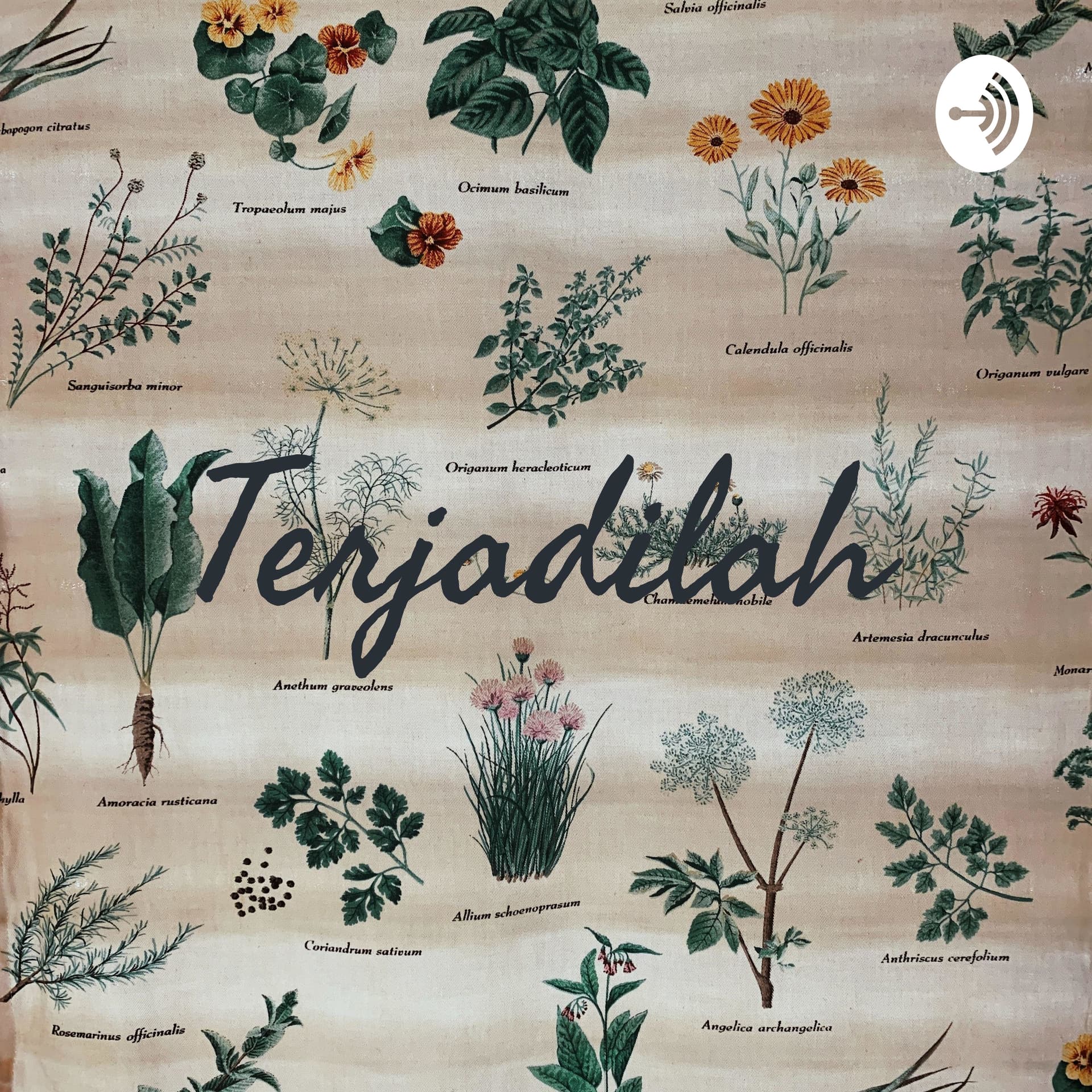 Terjadilah - Podcasts