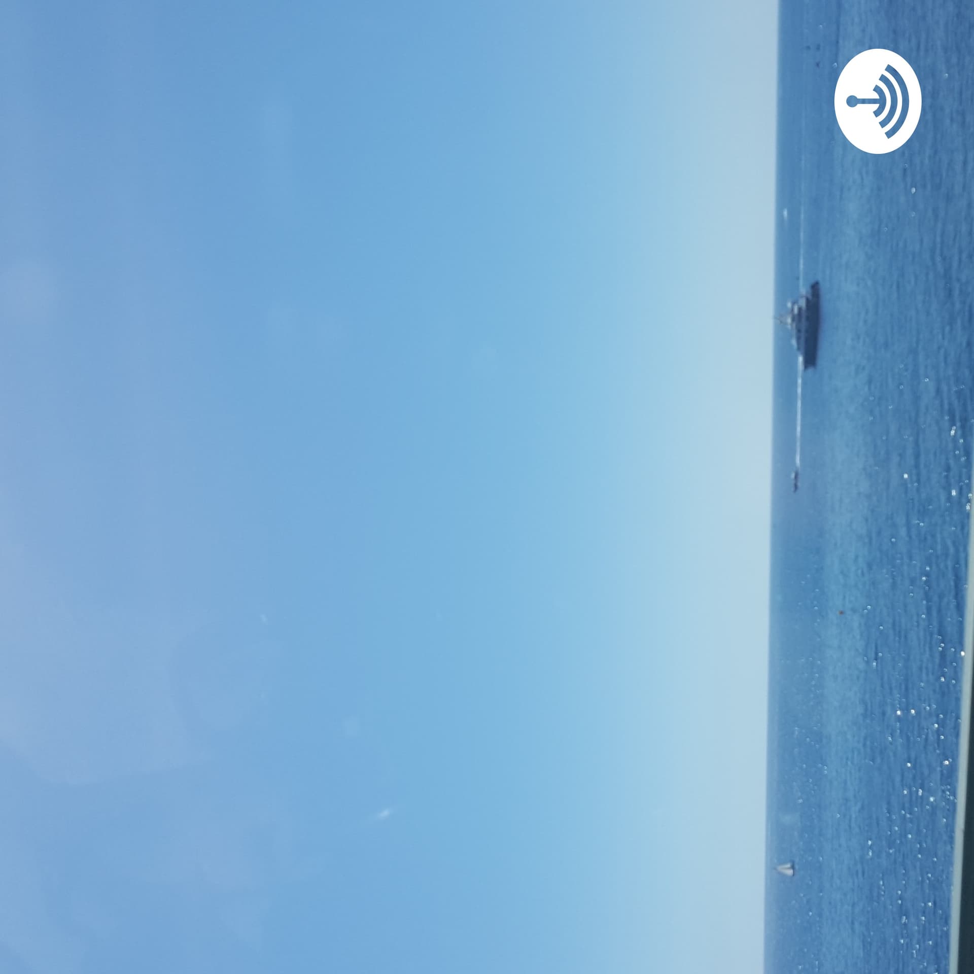 The Smd Podcast - Podcasts