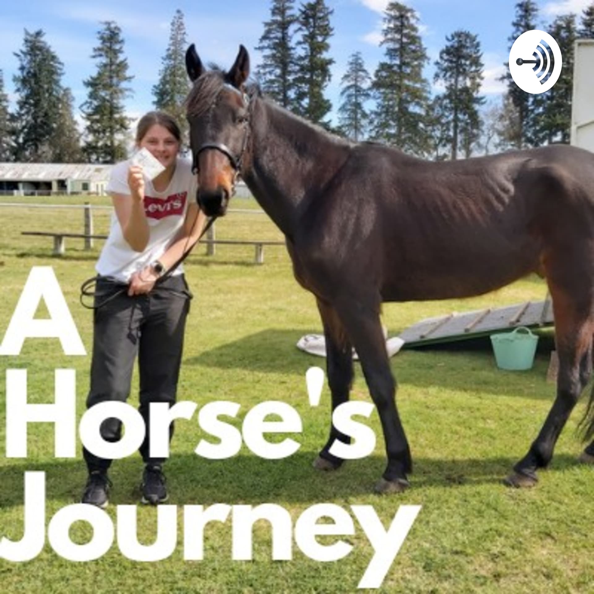 A Horse's Journey - Podcasts