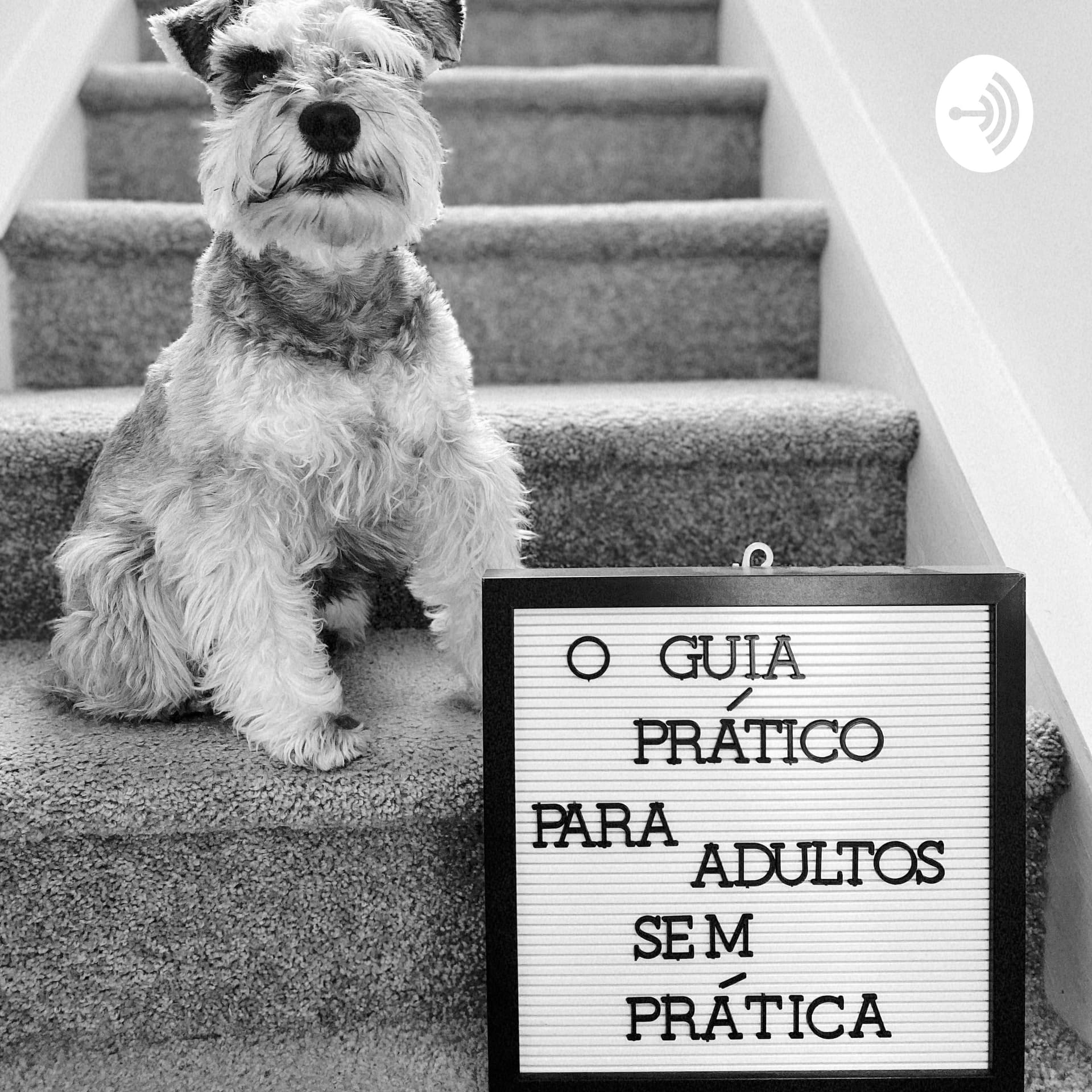 O Guia Prático Para Adultos Sem Prática - Podcast