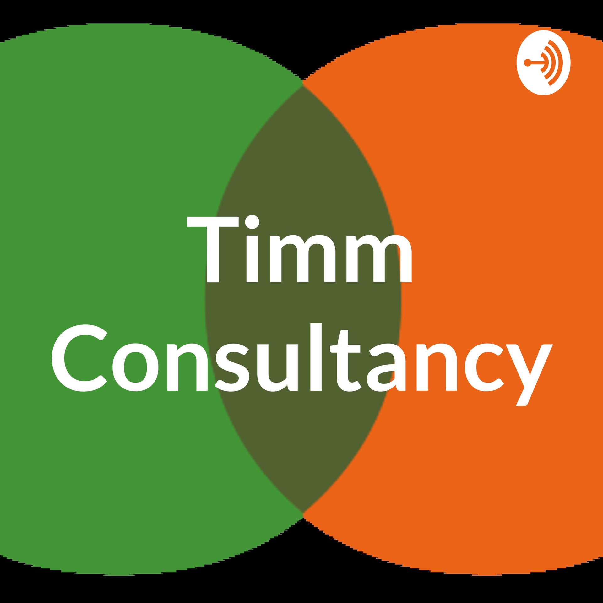 TIMM Consultancy voor Jeugdzorgprofessionals - Podcasts