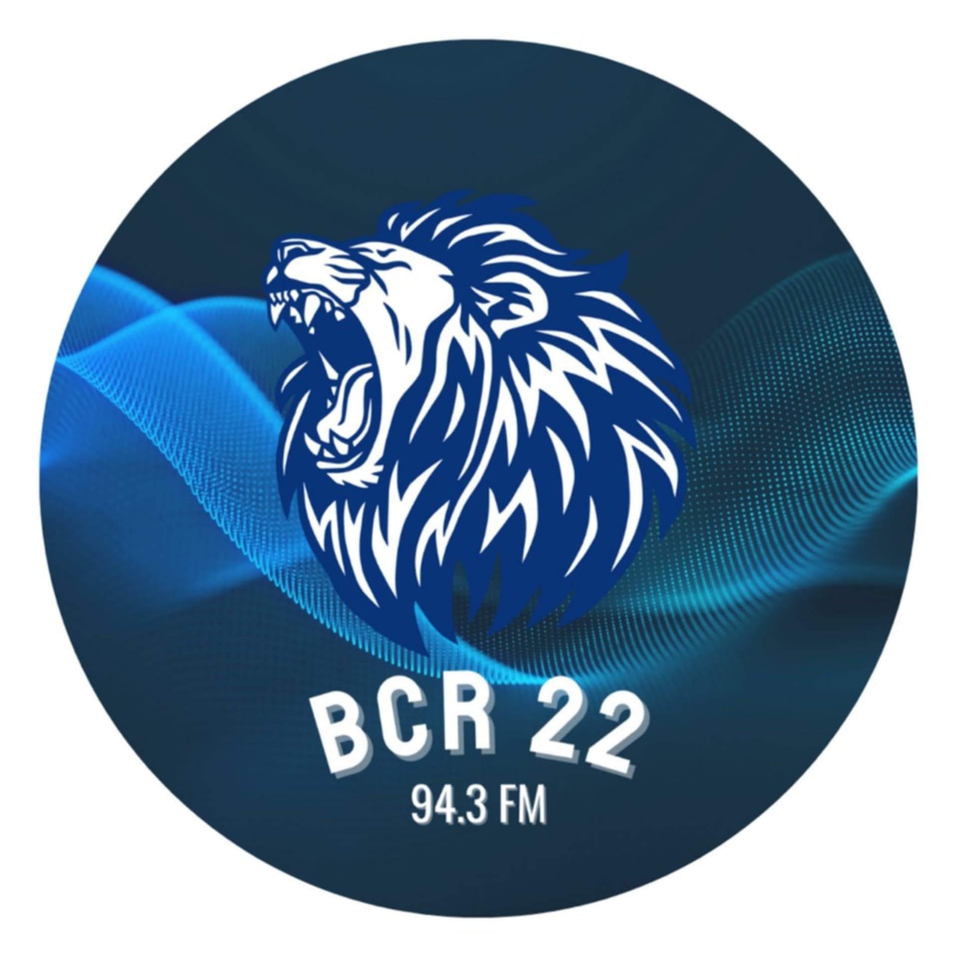 Blackrock College Radio - Podcasts