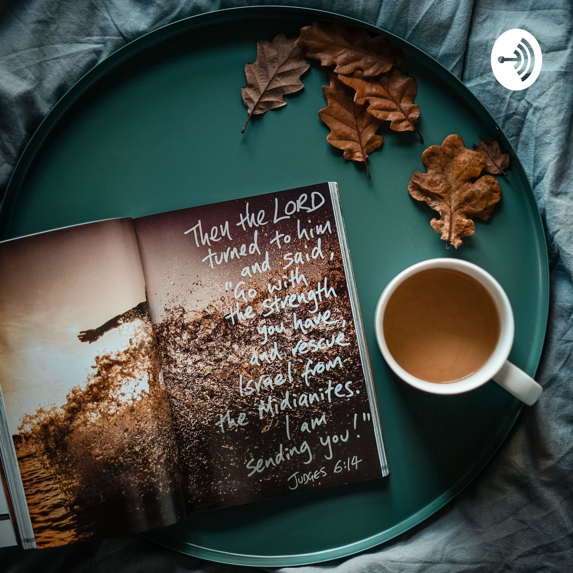 Titus 2 Woman8 - Podcasts