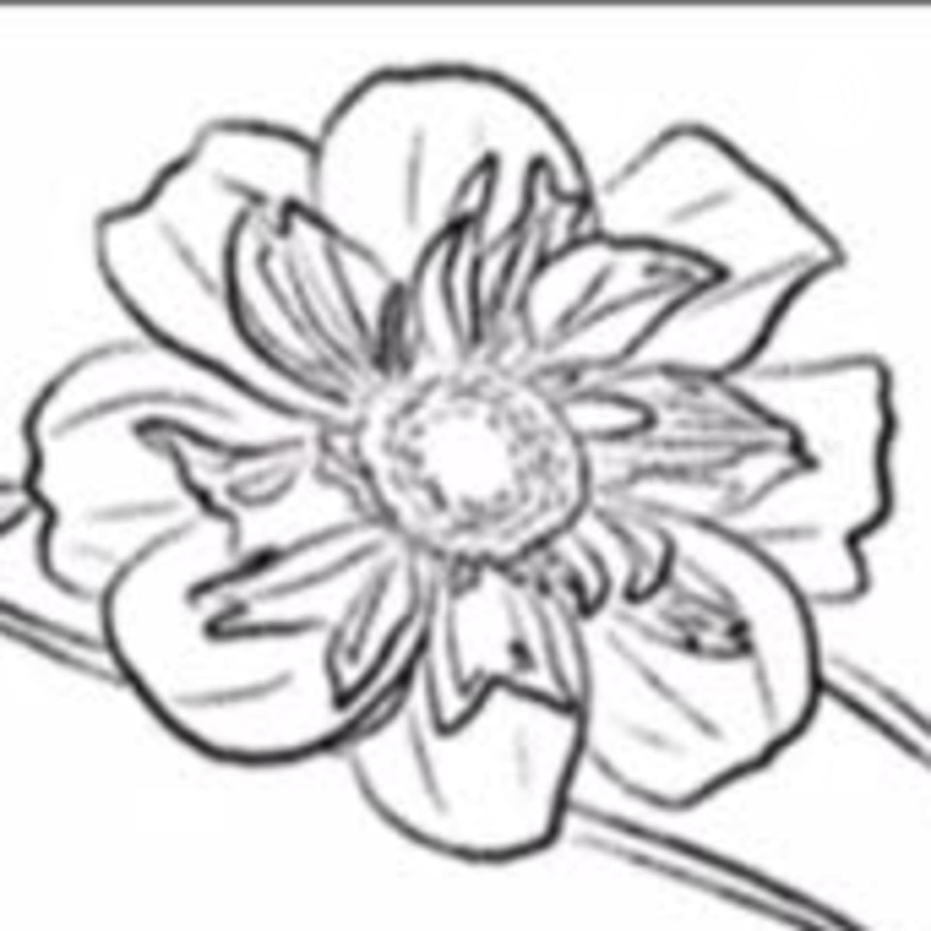 Wild Dahlia Wellness - Podcasts
