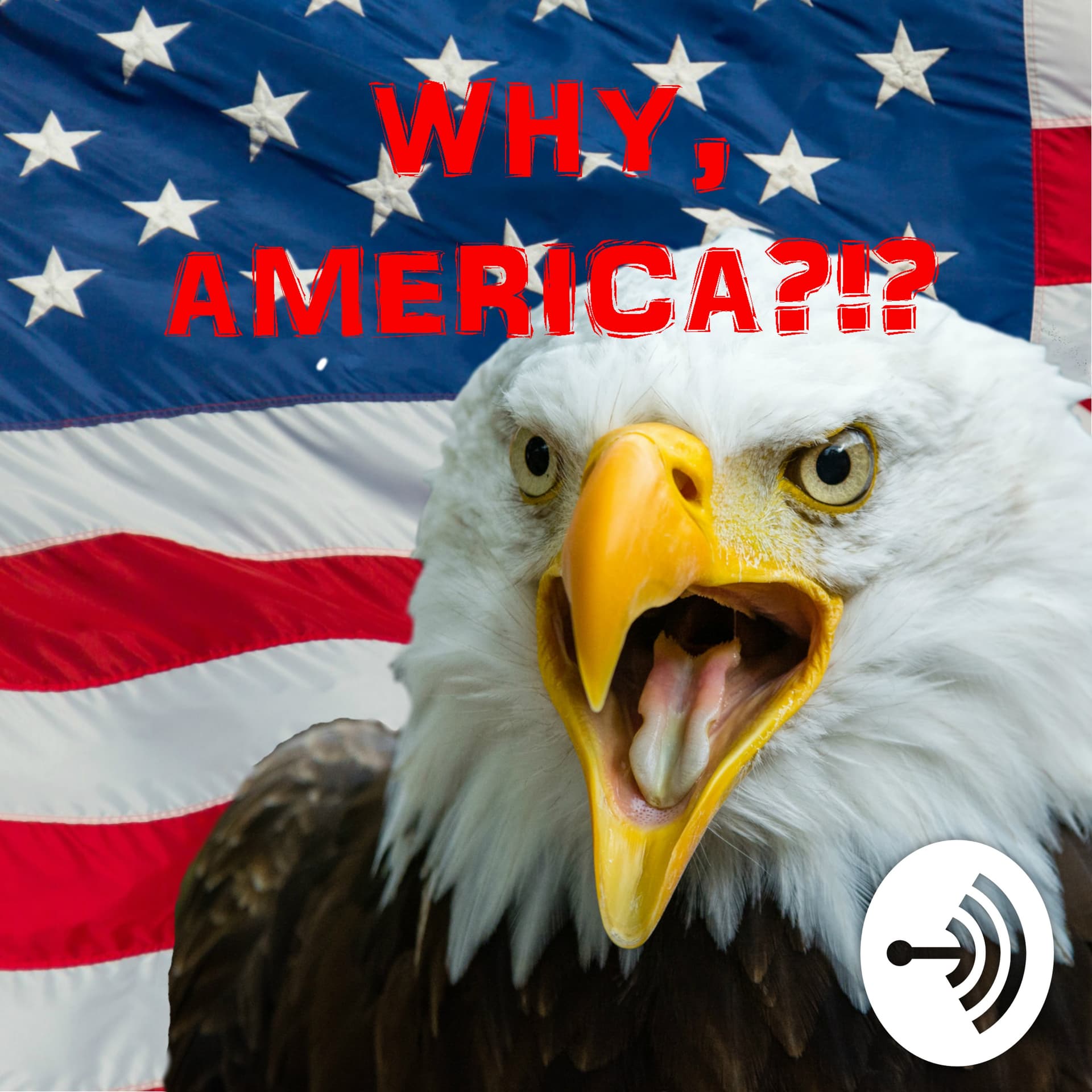 Why, America?!? - Podcasts