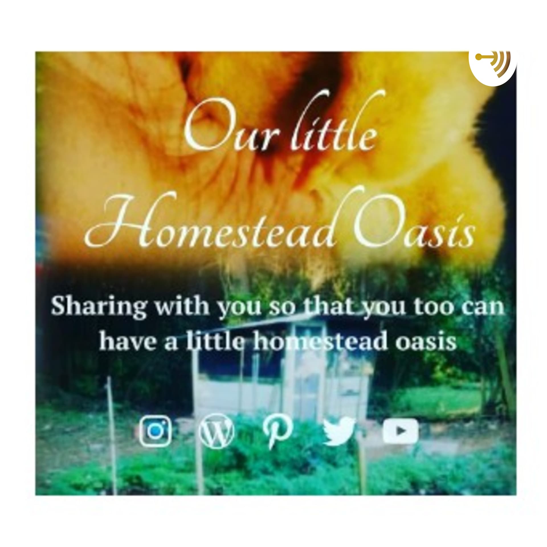Our Little Homestead Oasis , Lets Get Growing - Podcasts