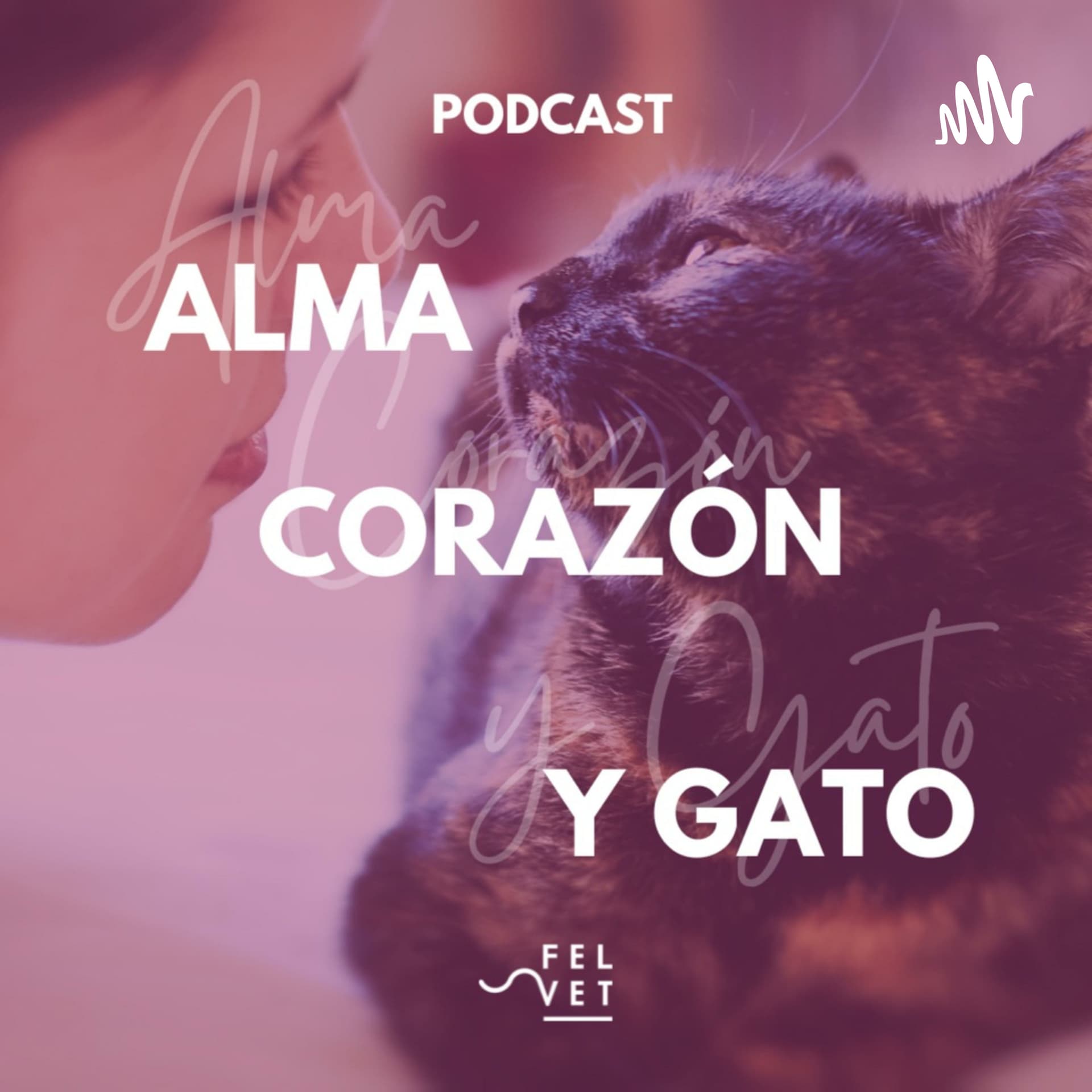 Alma Corazón y Gato - Podcast sobre gatos - Podcast