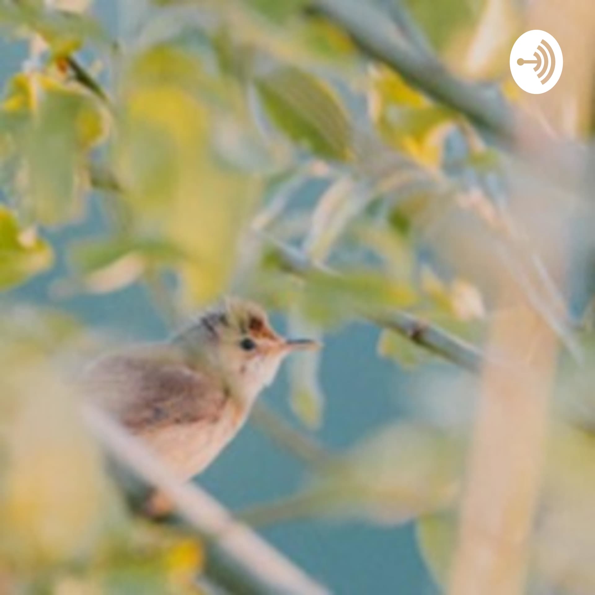 靈性生活 - Podcasts