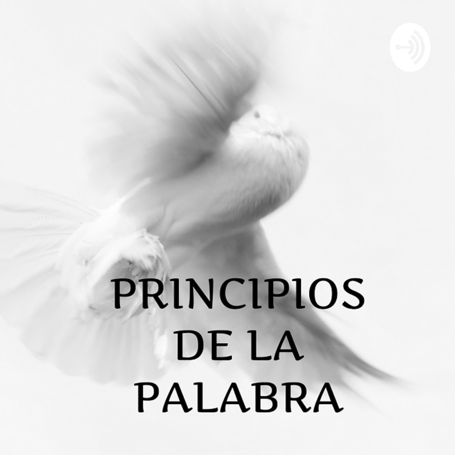 Principios De La Palabra - Podcasts