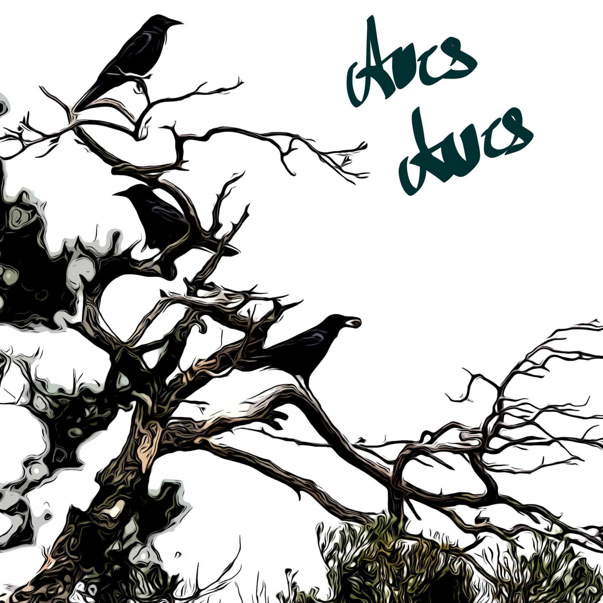 Aves Aves - Spass mit Vögel - Podcasts