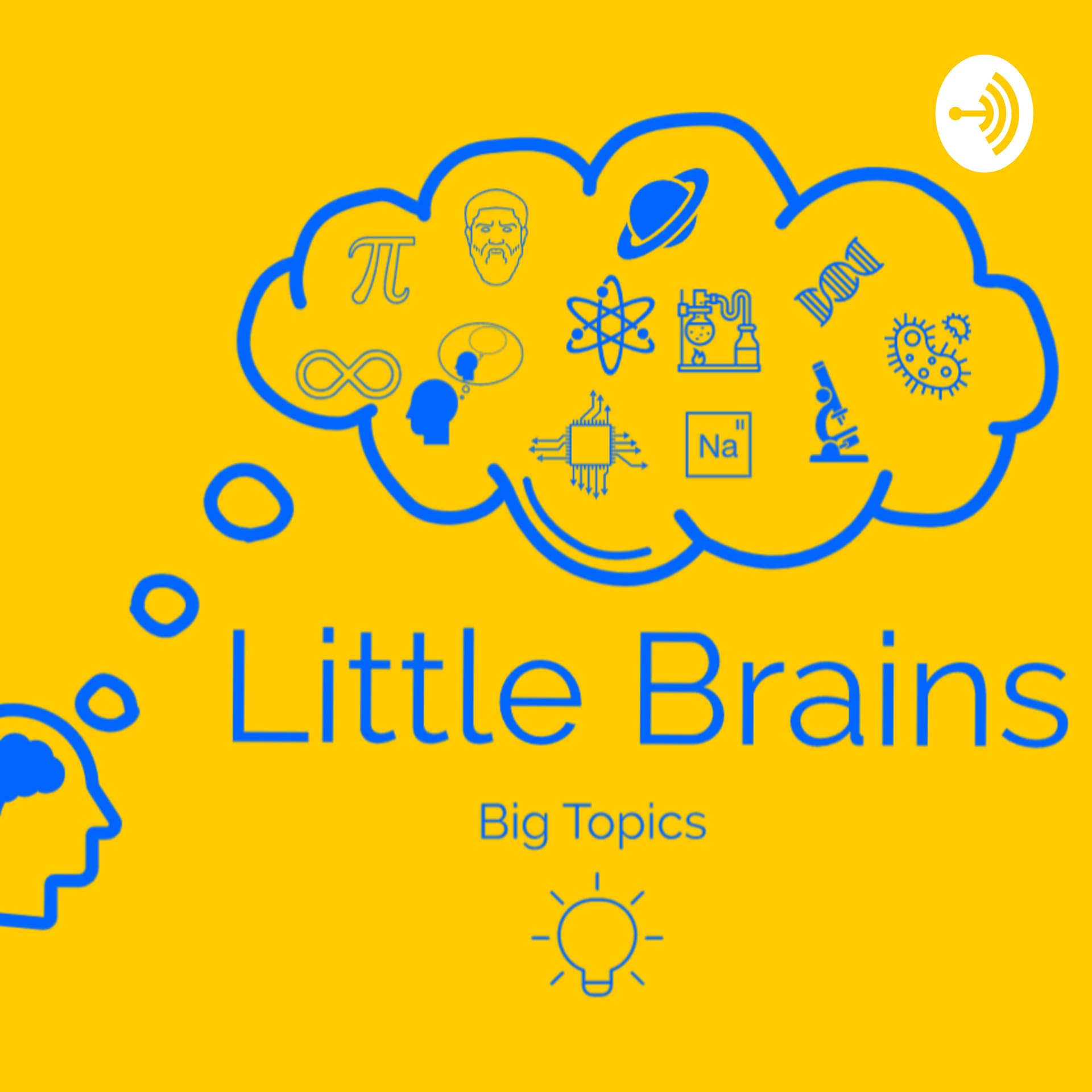 Little Brains Big Topics - Podcasts