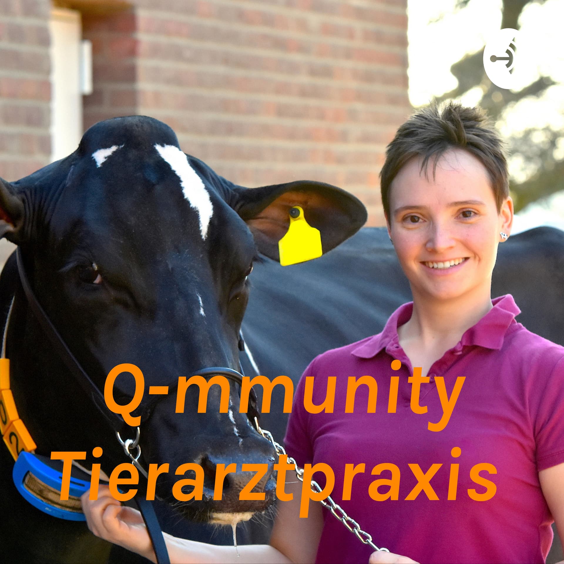 Q-mmunity Tierarztpraxis - Podcasts