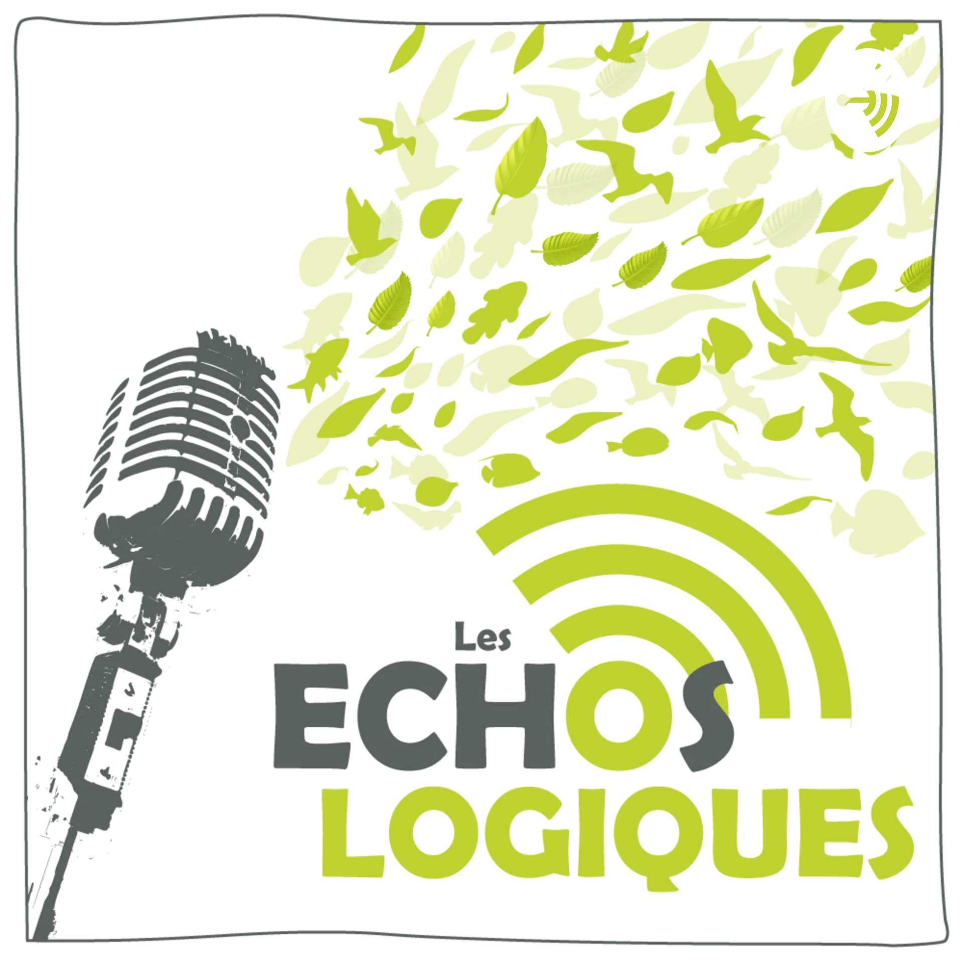 Les échos-logiques - Podcasts