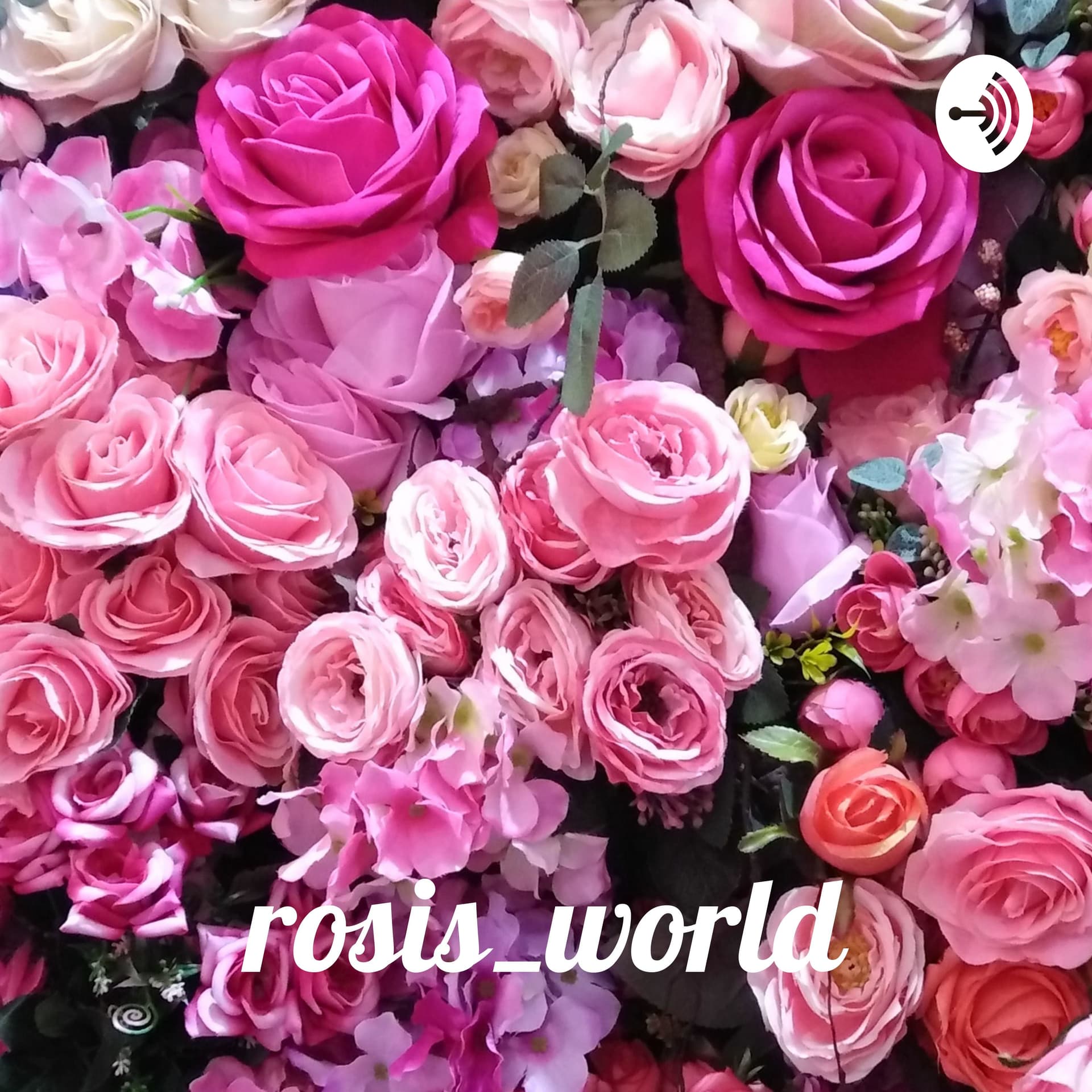 rosis_world - Lass uns mal quatschen... - Podcasts