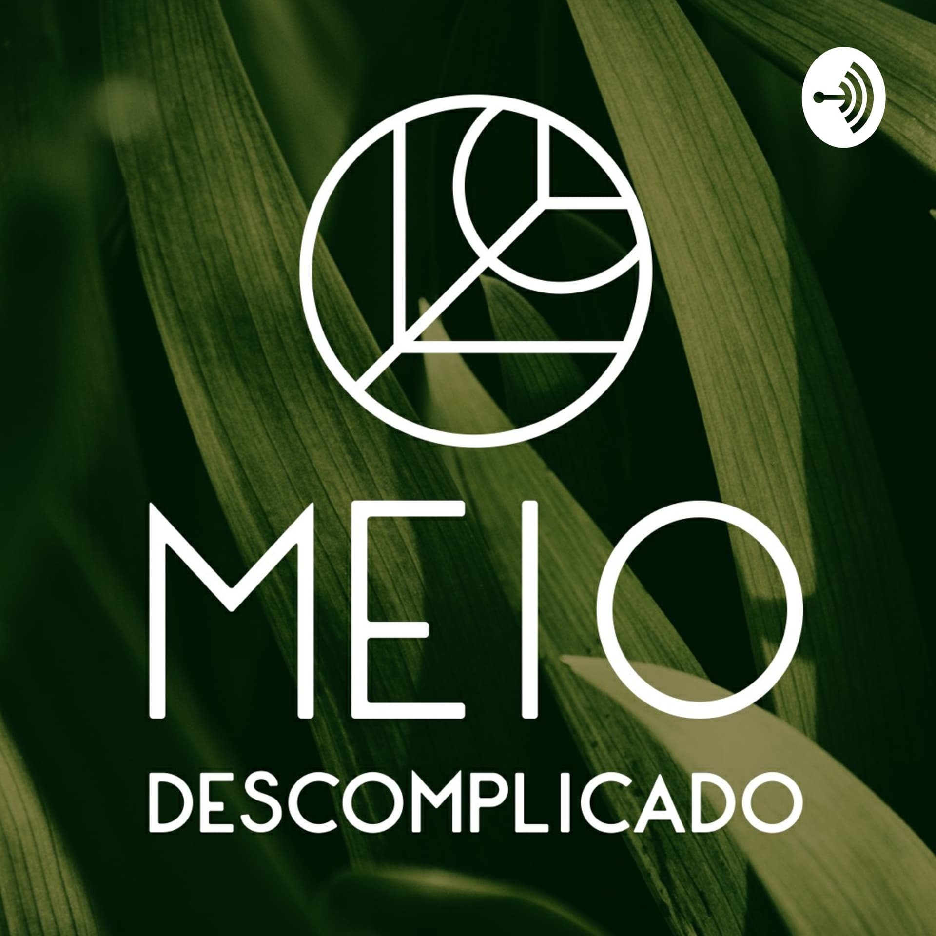 Meio Descomplicado - Podcasts