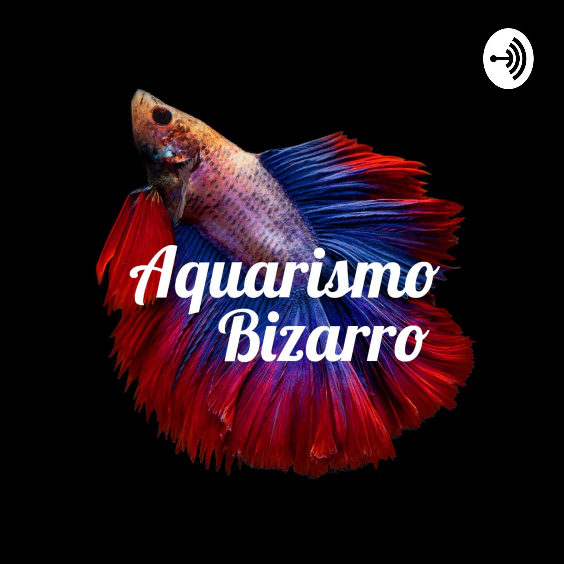 Aquarismo Bizarro - Podcasts