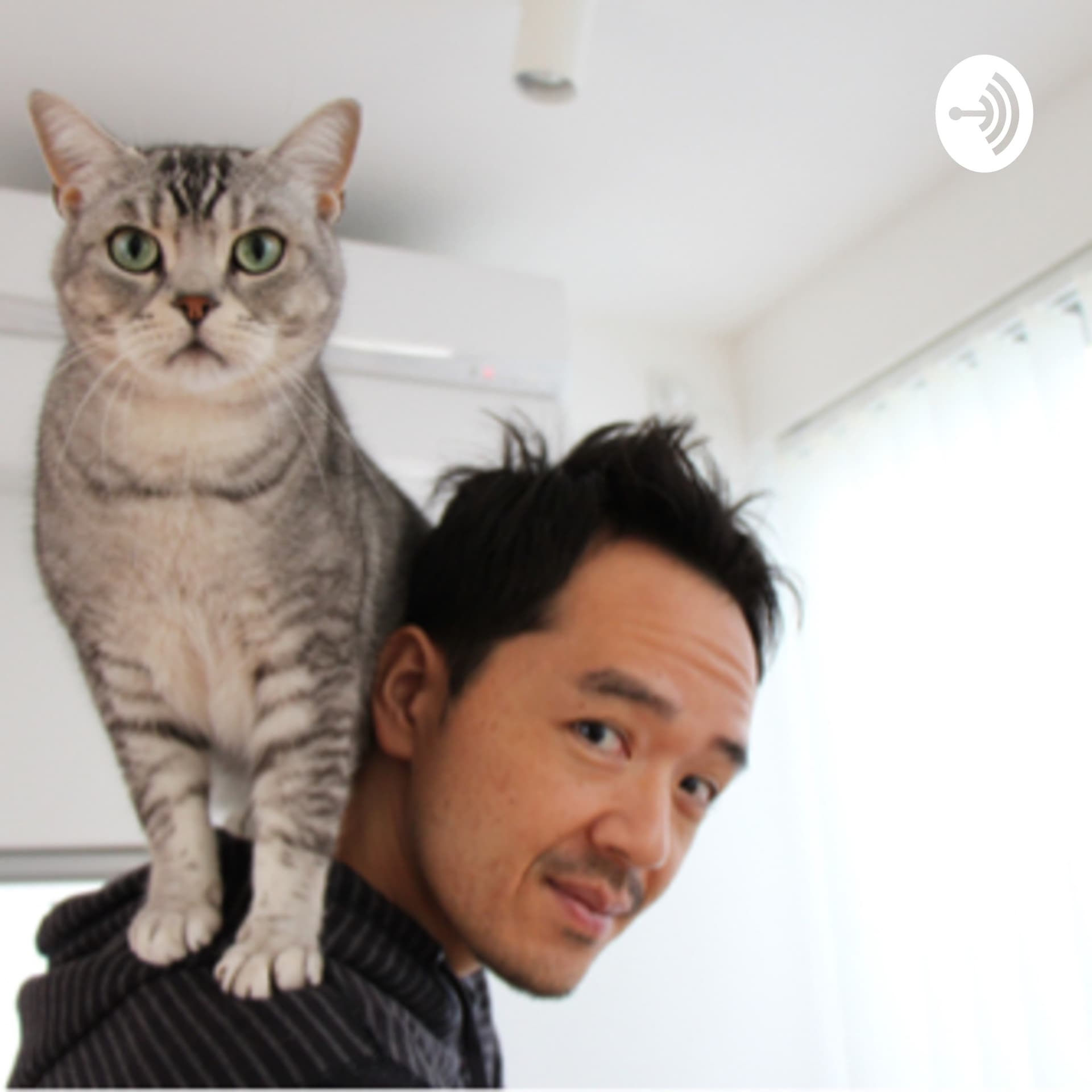 サイドハッスルジャーナル − Journey to build 2nd source of income - Podcasts