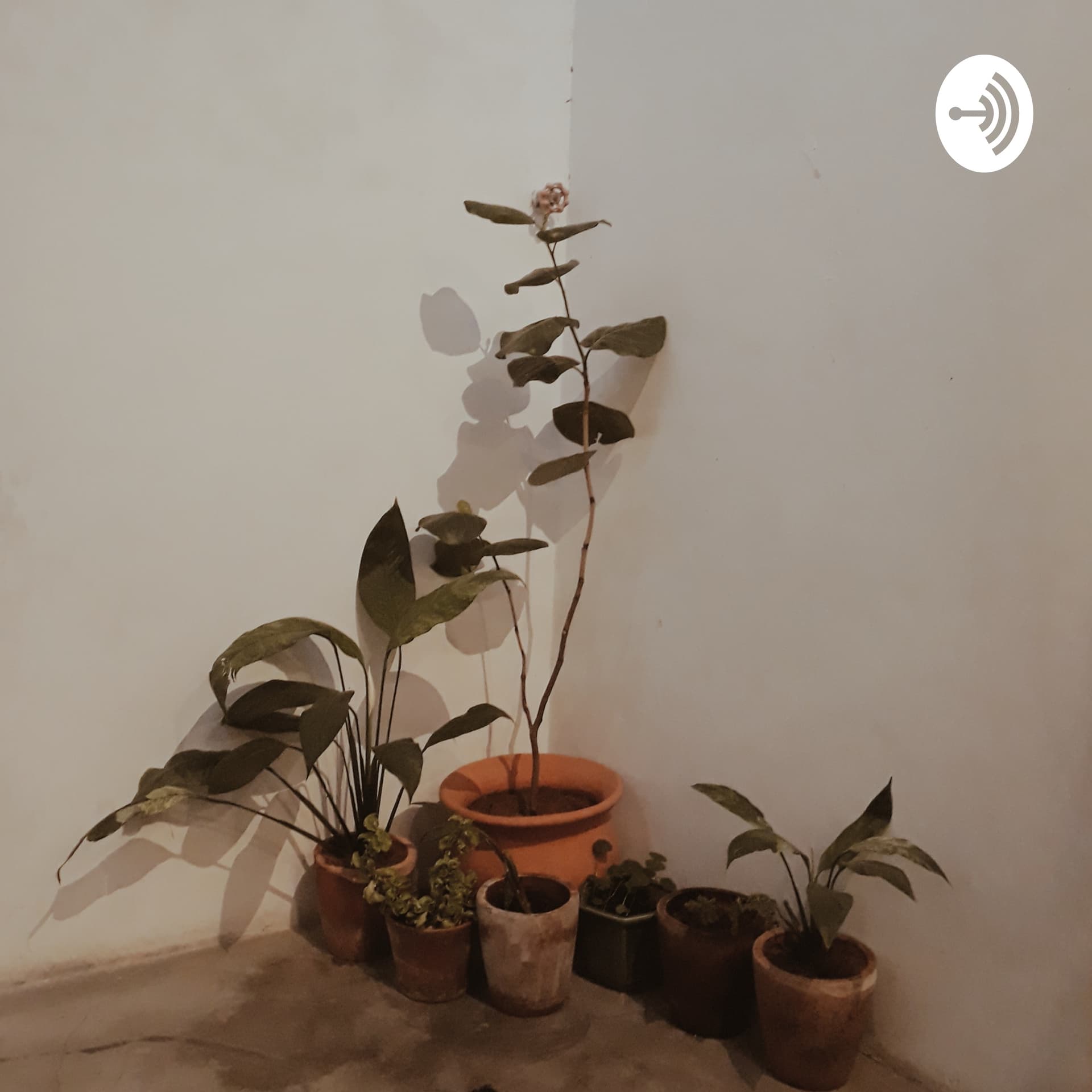 cerita di bawah tanah - Podcasts