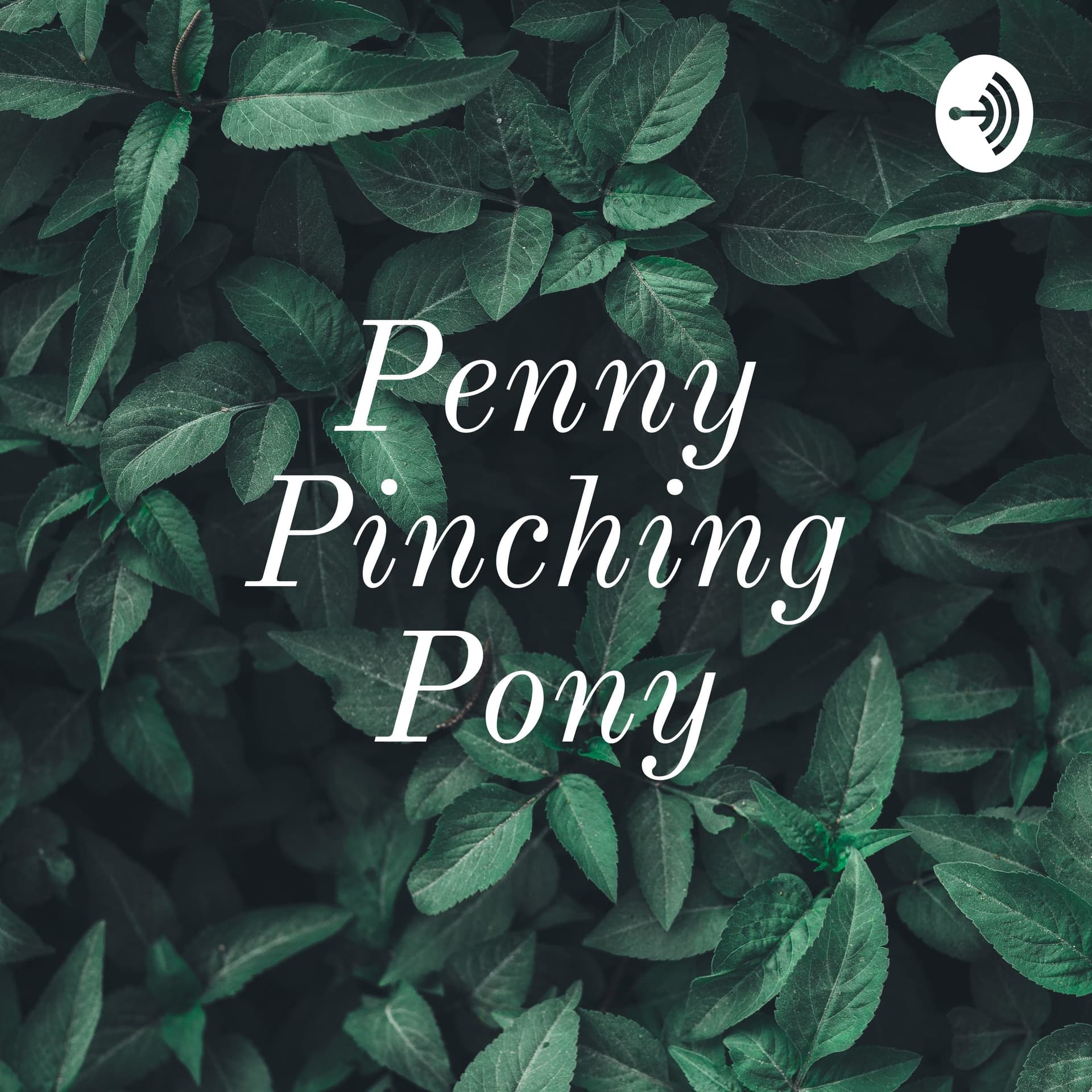 The Penny Pinching Pony - Podcasts