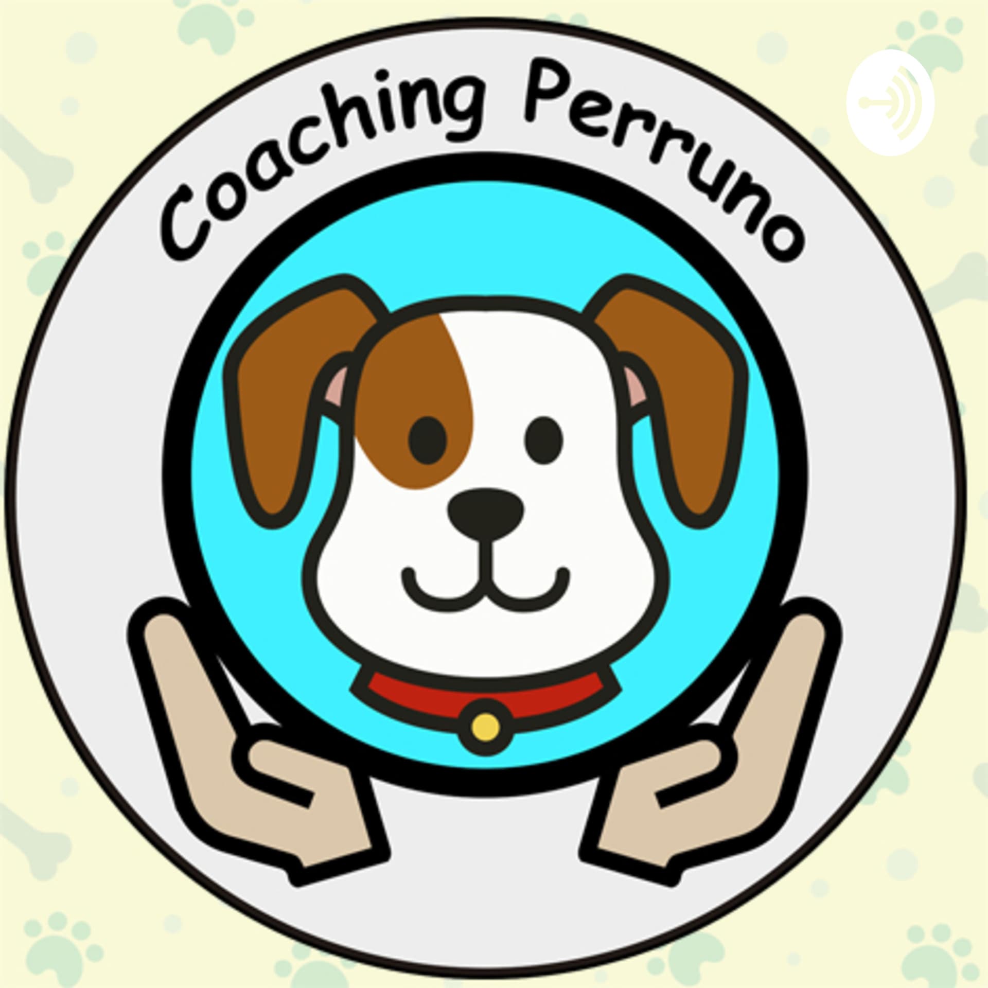 Coaching Perruno