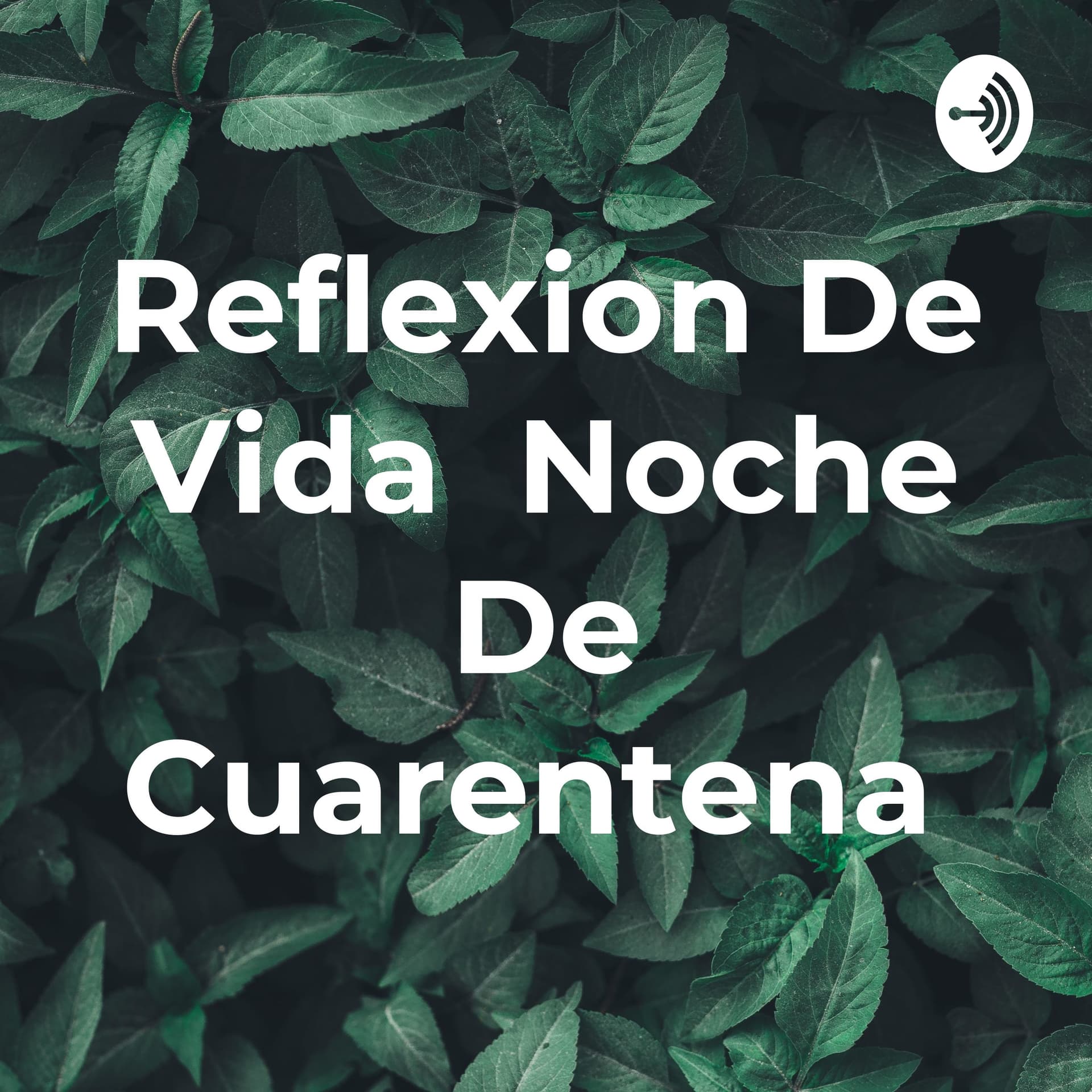 Reflexion De Vida Noche De Cuarentena - Podcasts