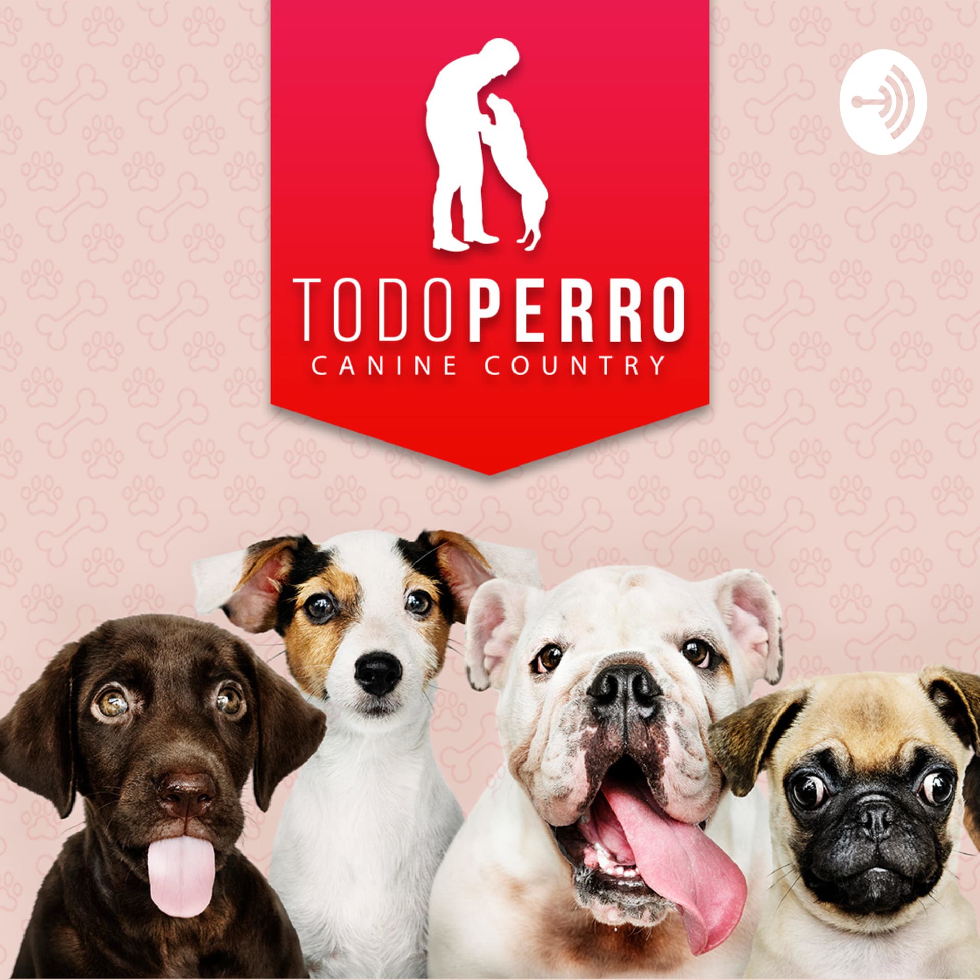 Todo Perro - Podcasts
