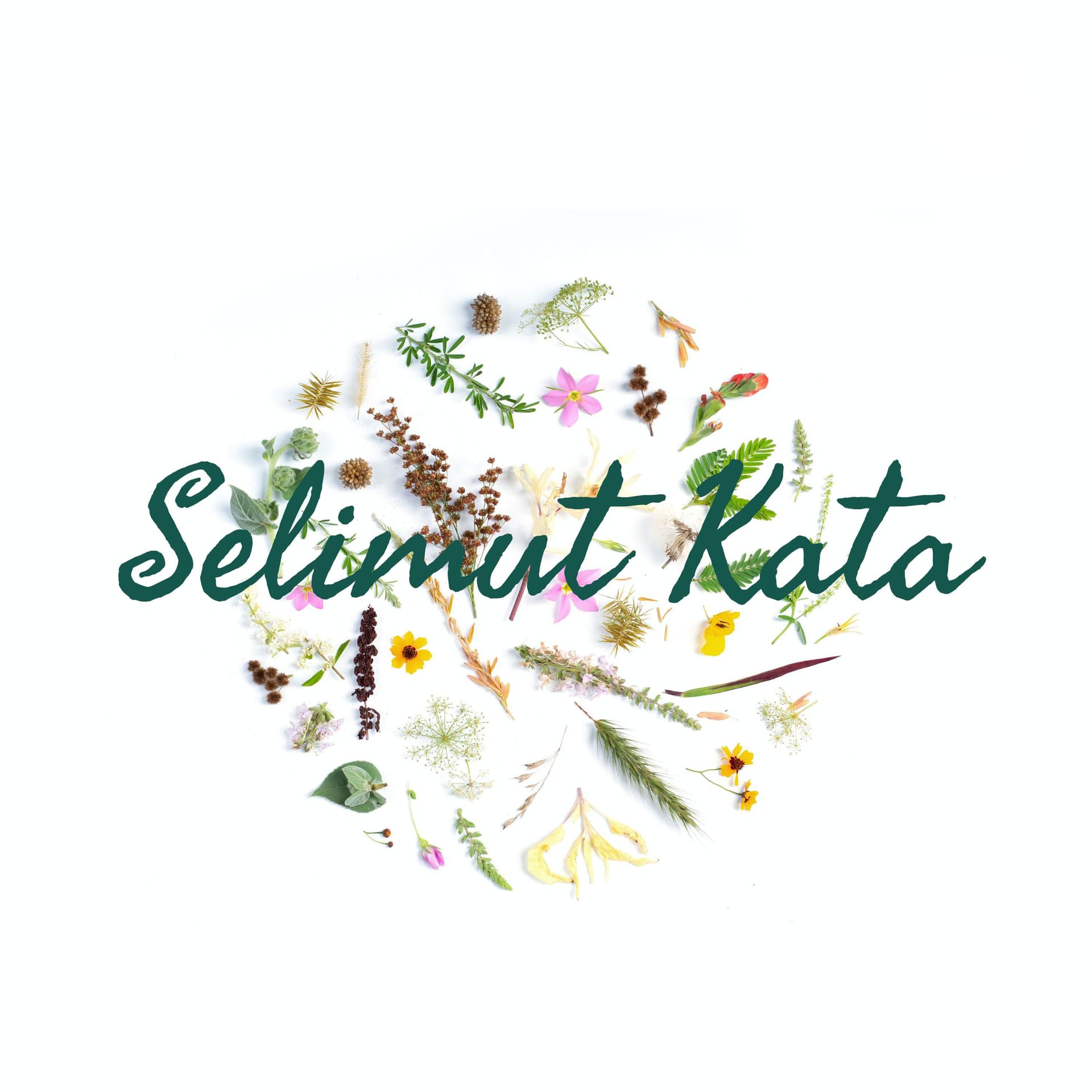 Selimut Kata