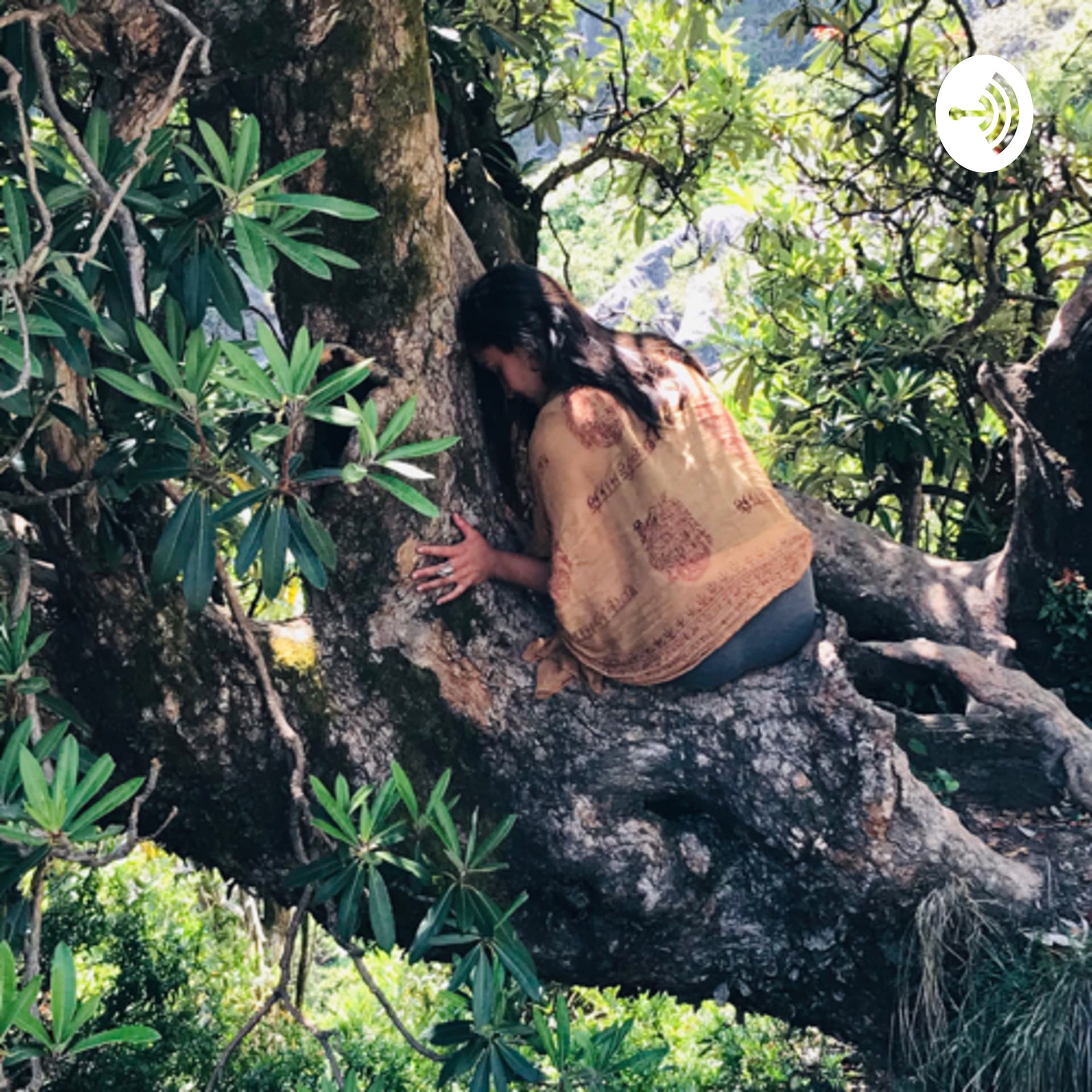 CosmoYogui - Podcasts