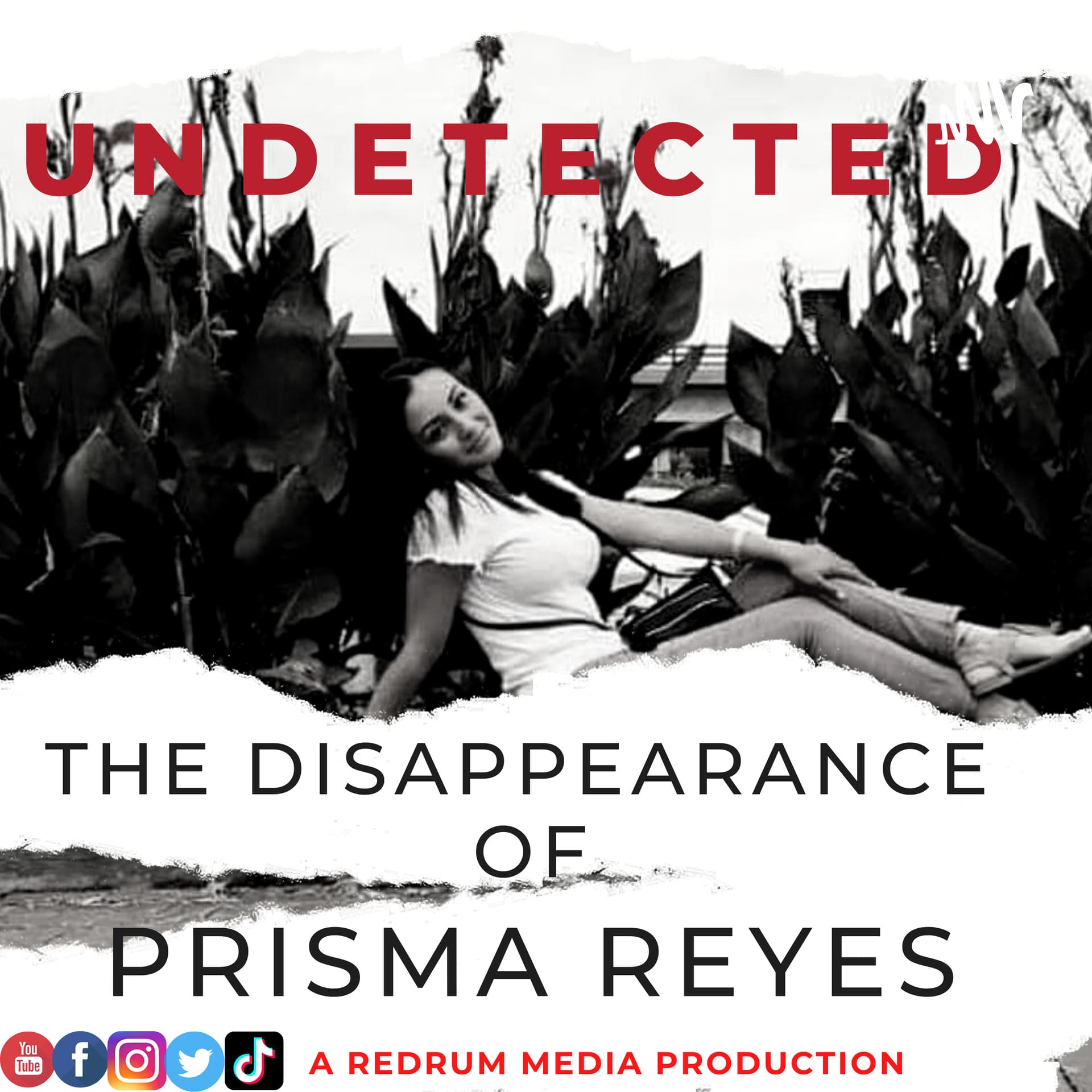 UNDETECTED - Podcasts
