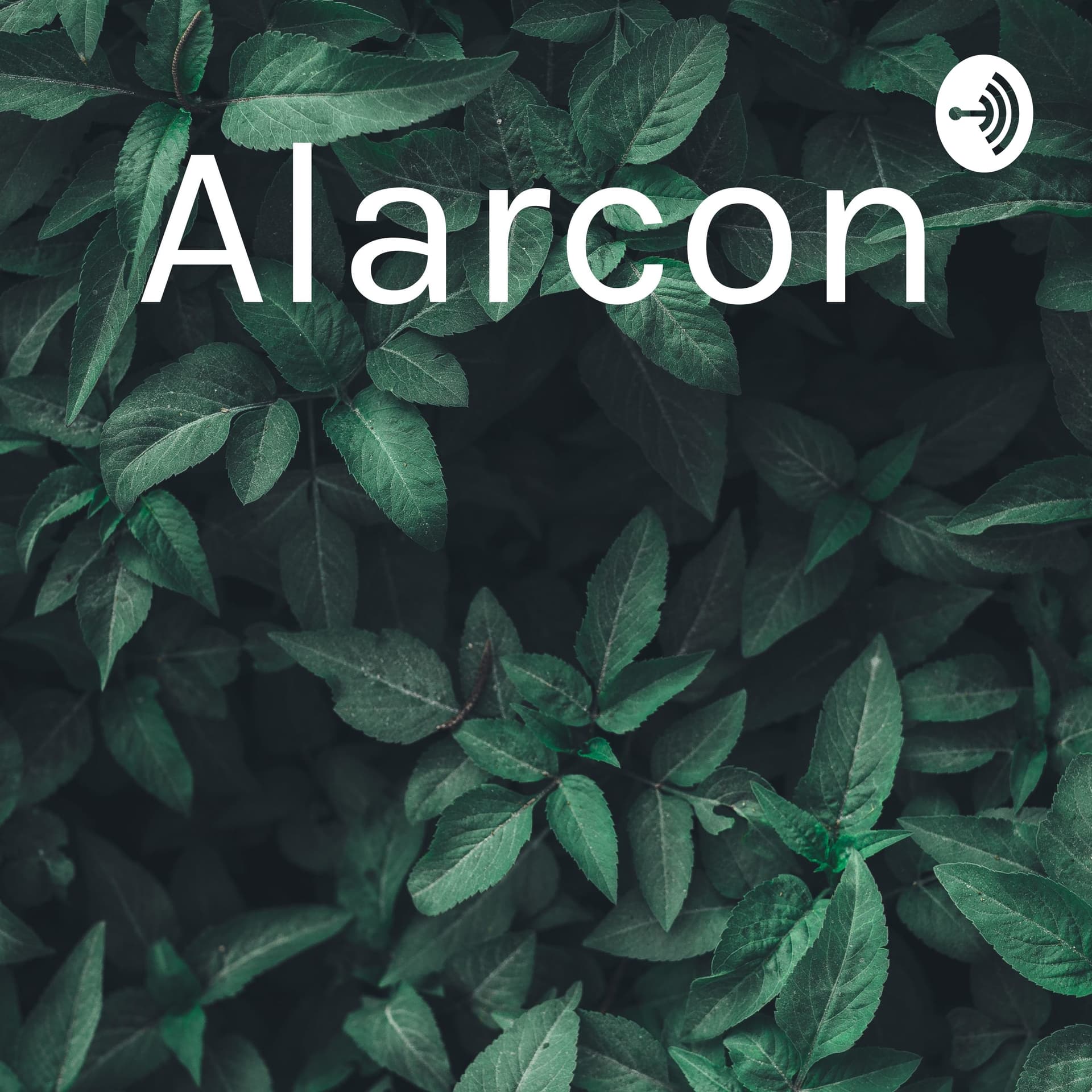 Alarcon