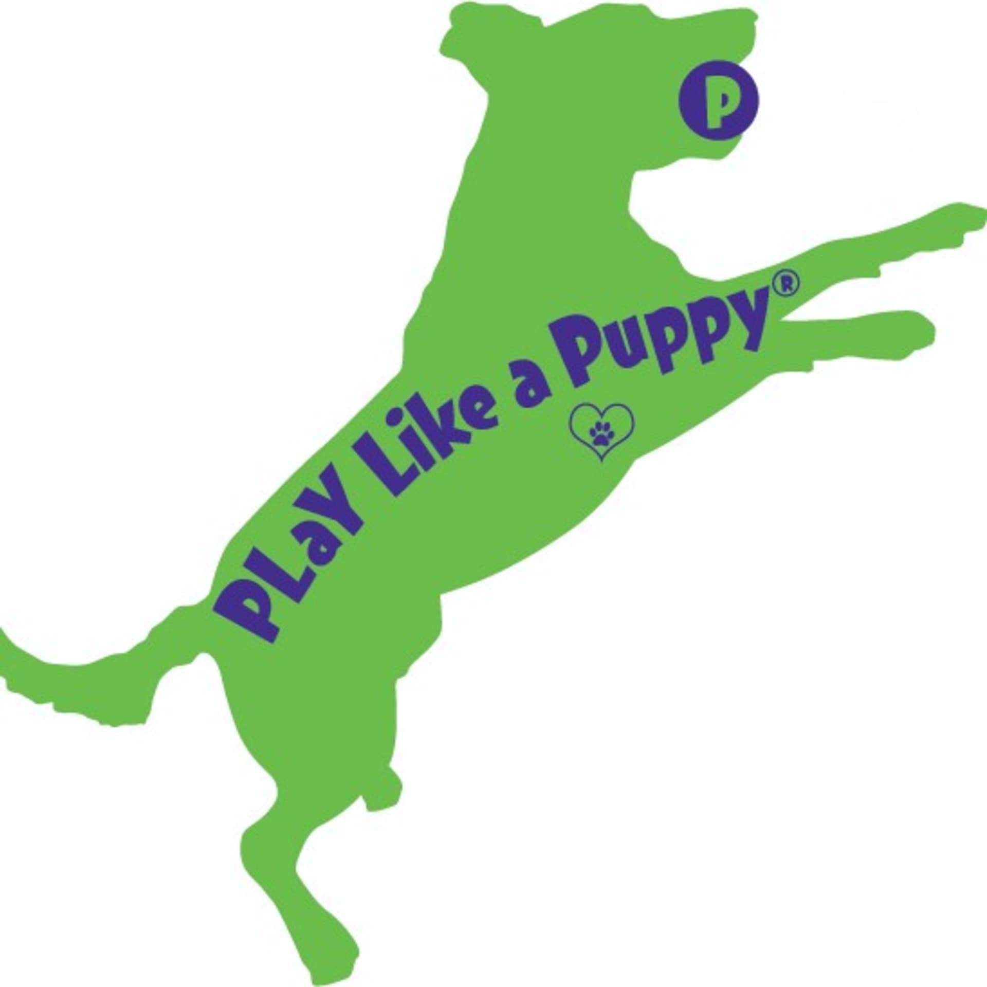 PLaY Like a Puppy! - Podcasts