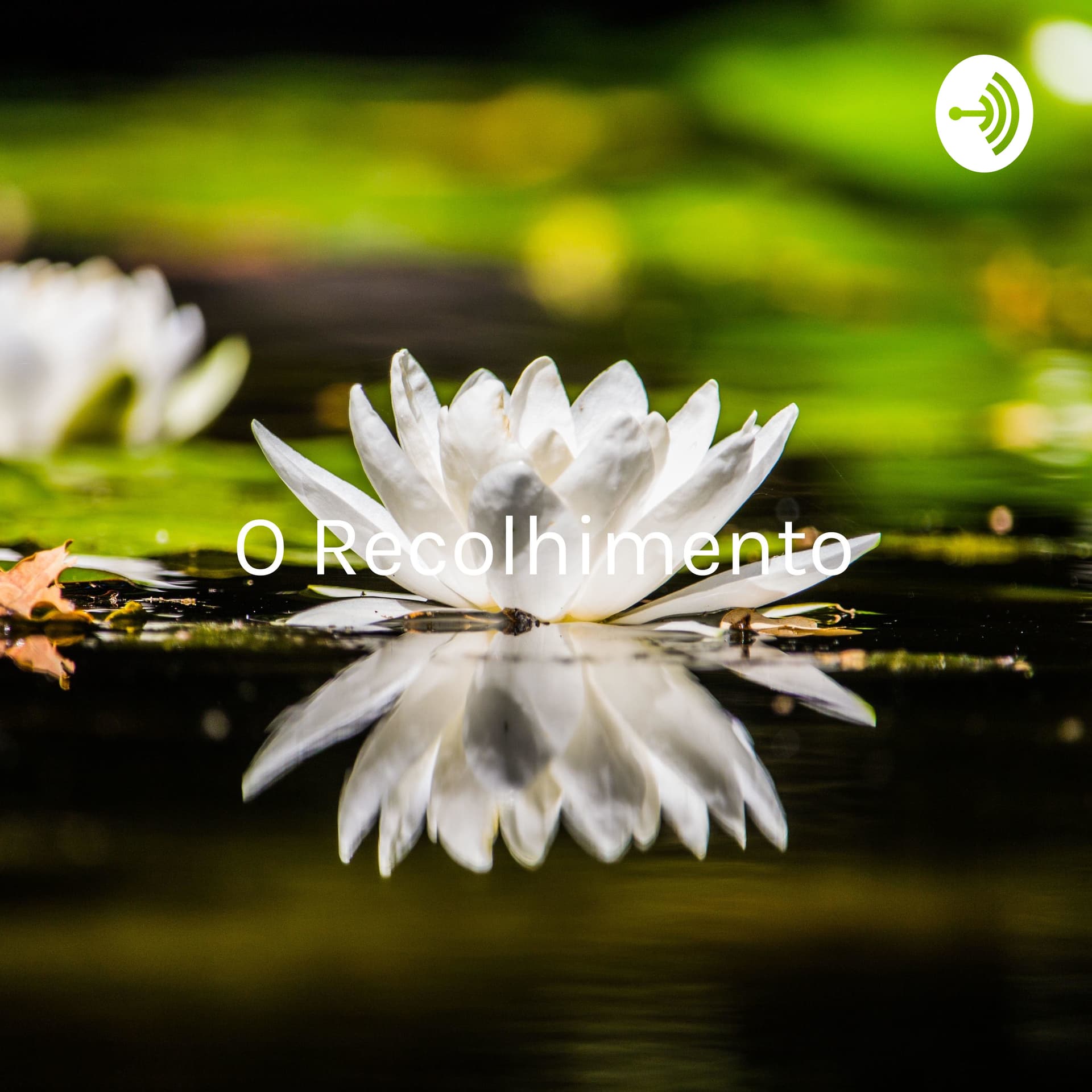 O Recolhimento: Compreendendo a pandemia sob a luz do Yoga, da saúde e das Ciências Humanas - Podcast