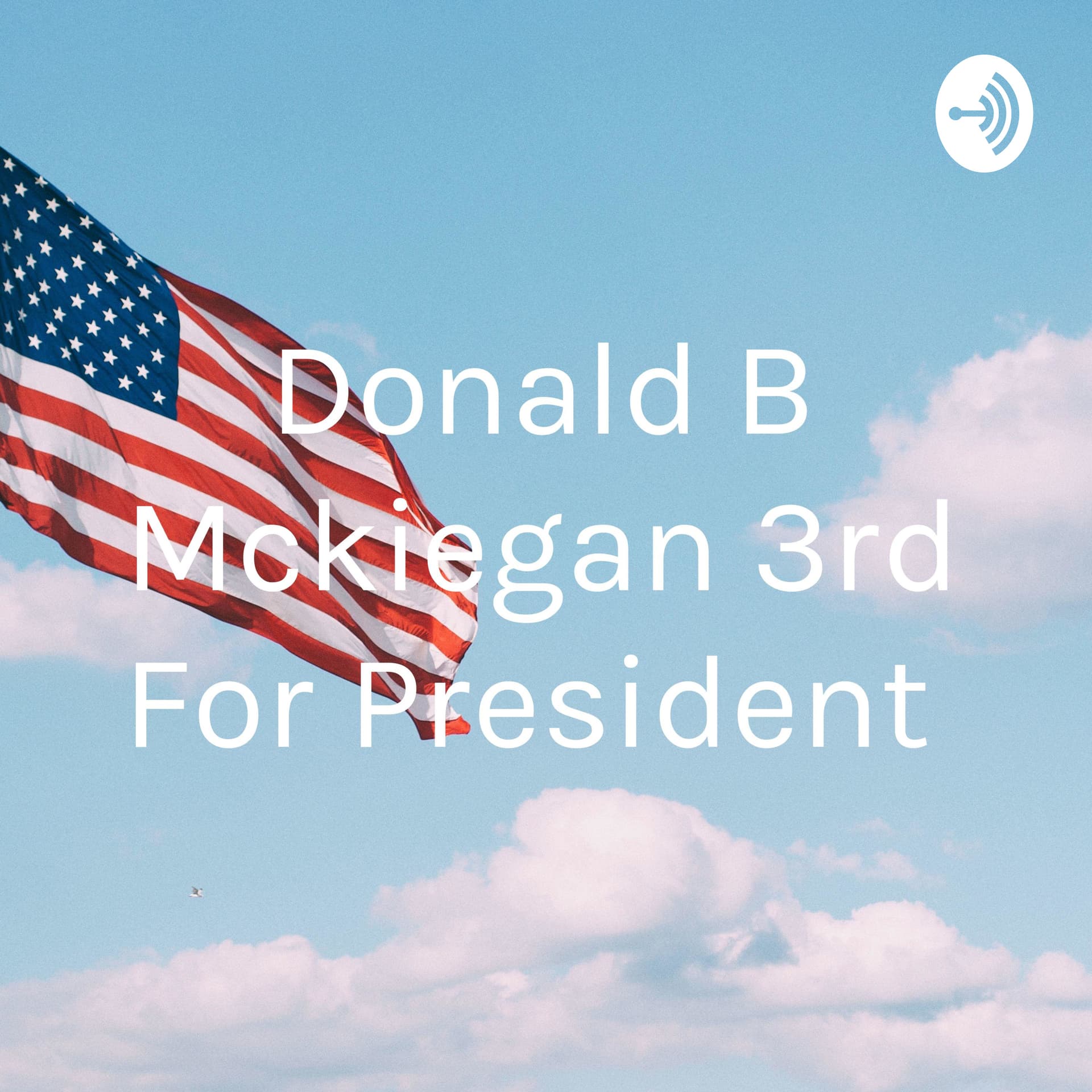 Donald B Mckiegan 3rd For President