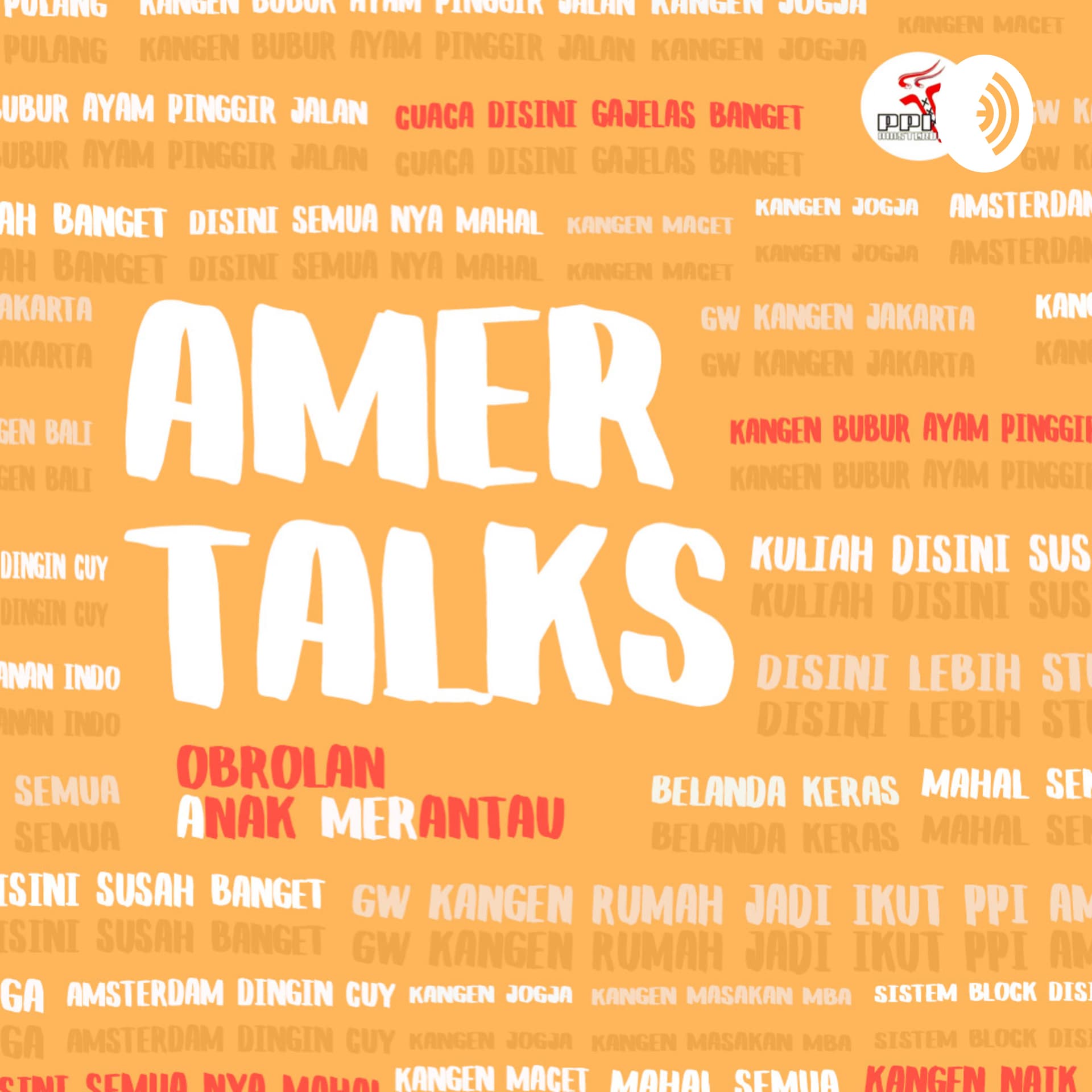 Amer Talks - Podcasts