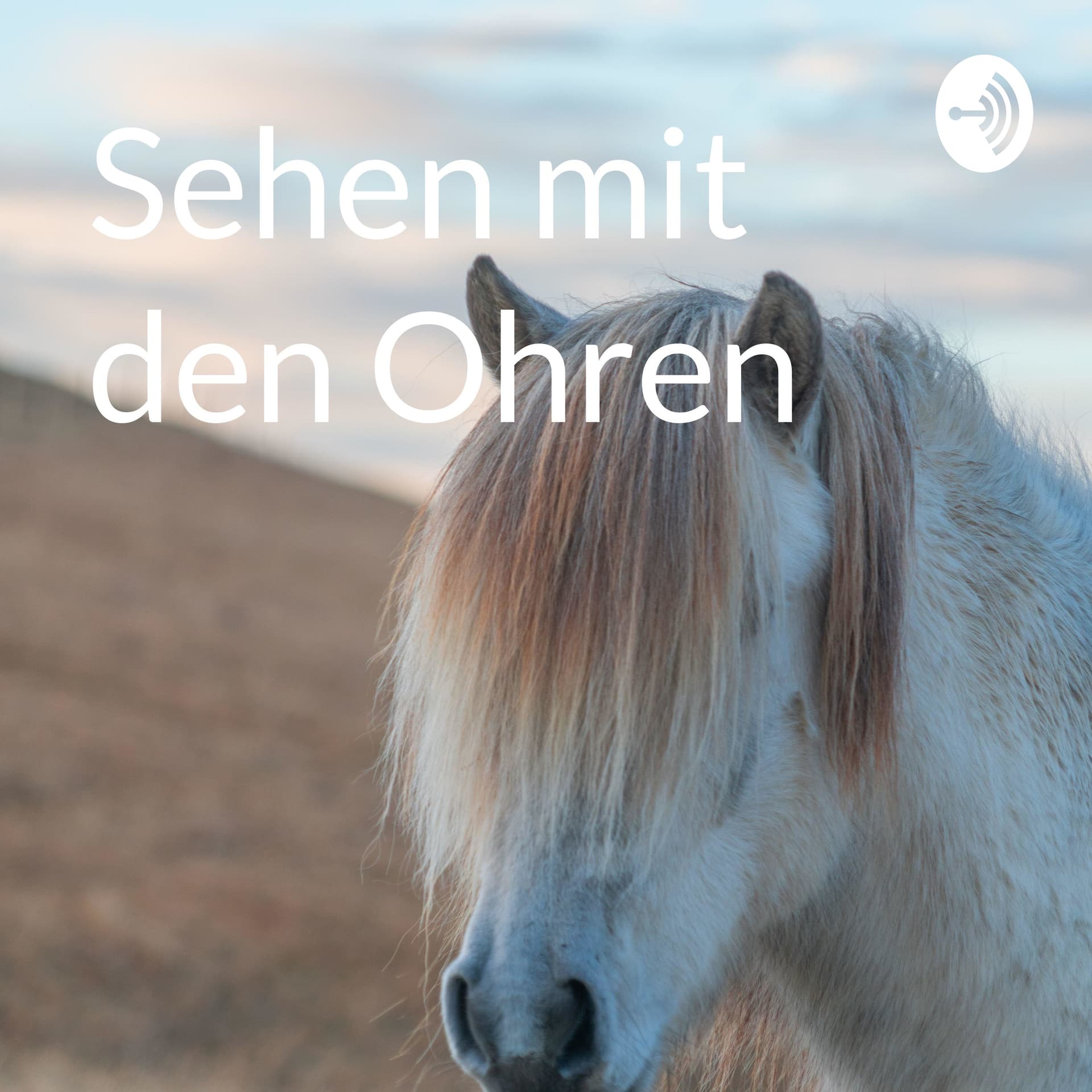 Sehen mit den Ohren - Podcasts