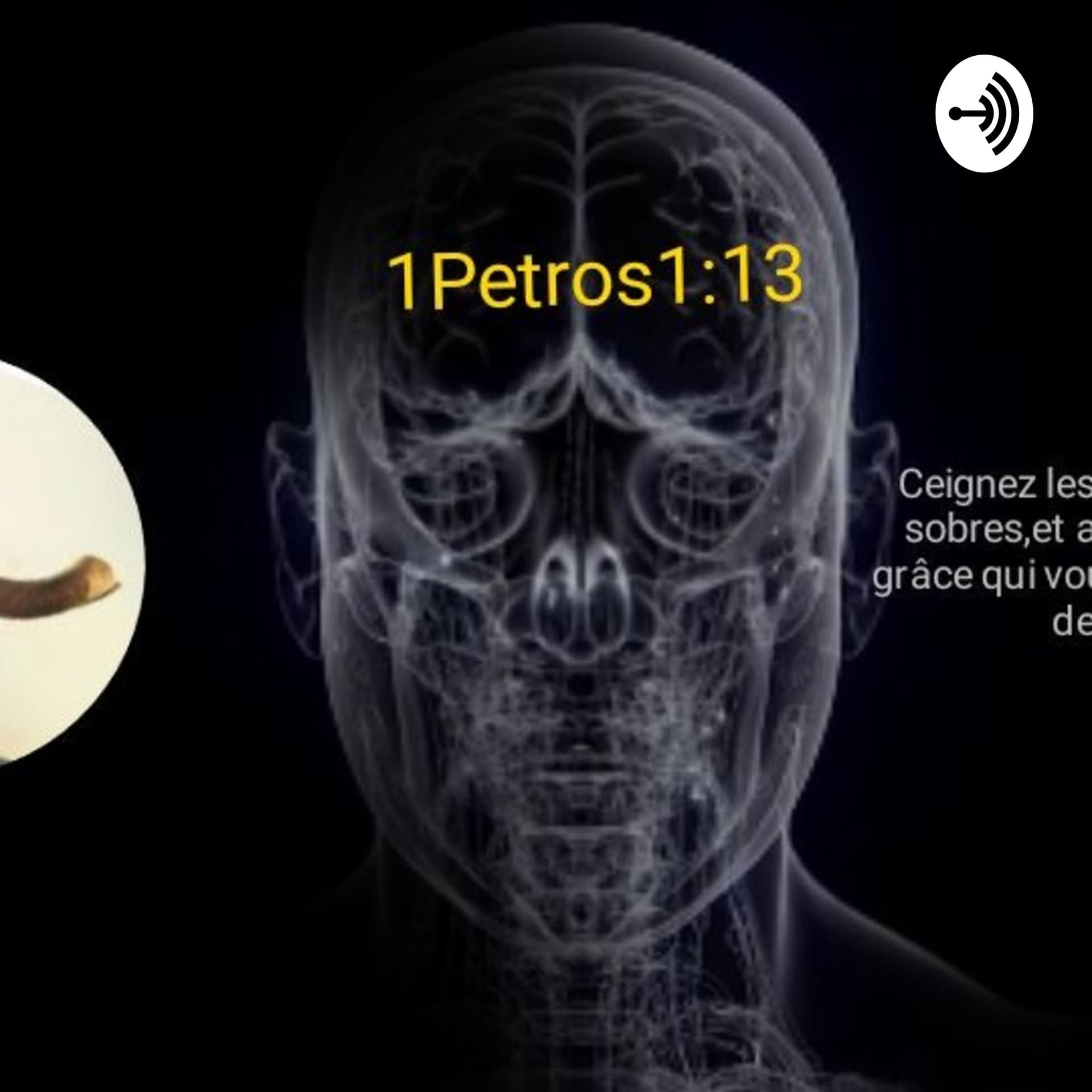 AnnonceMoiGabonElite - Podcasts