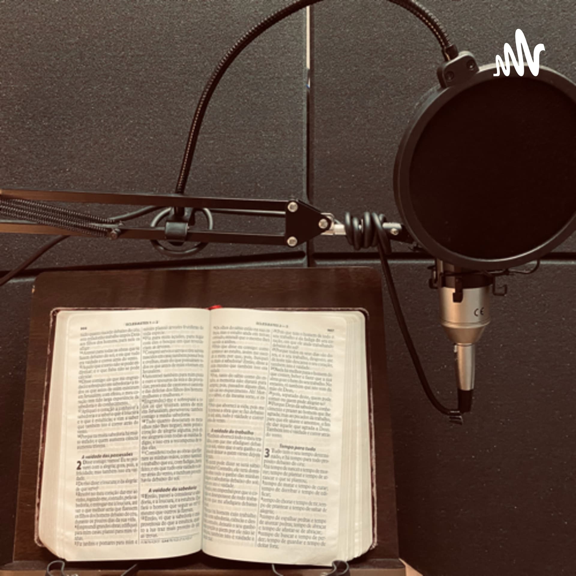 CARPE DIEM - 3,33' (Aproveite o Dia) - Podcasts