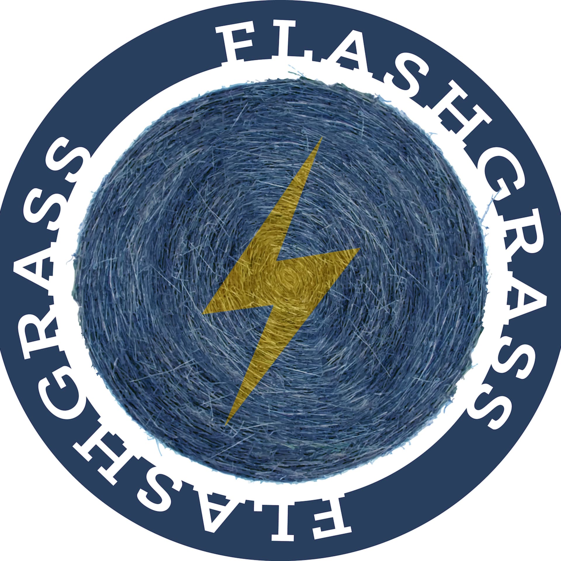 The Flashgrass Podcast - Podcast