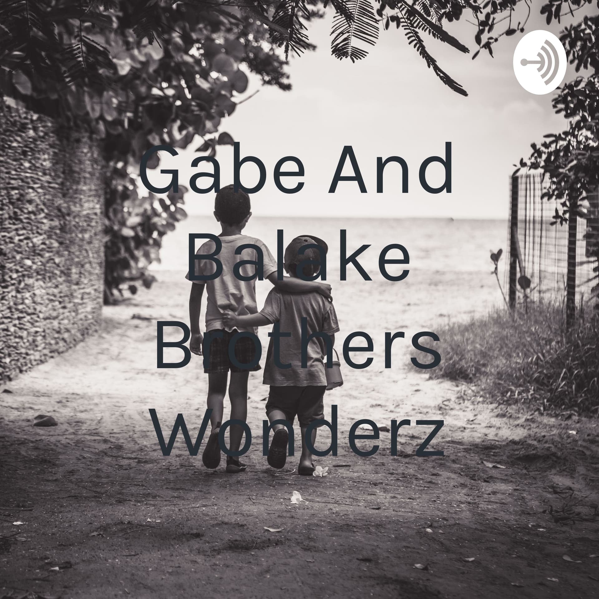 Gabe And Balake Brothers Wonderz - Podcasts