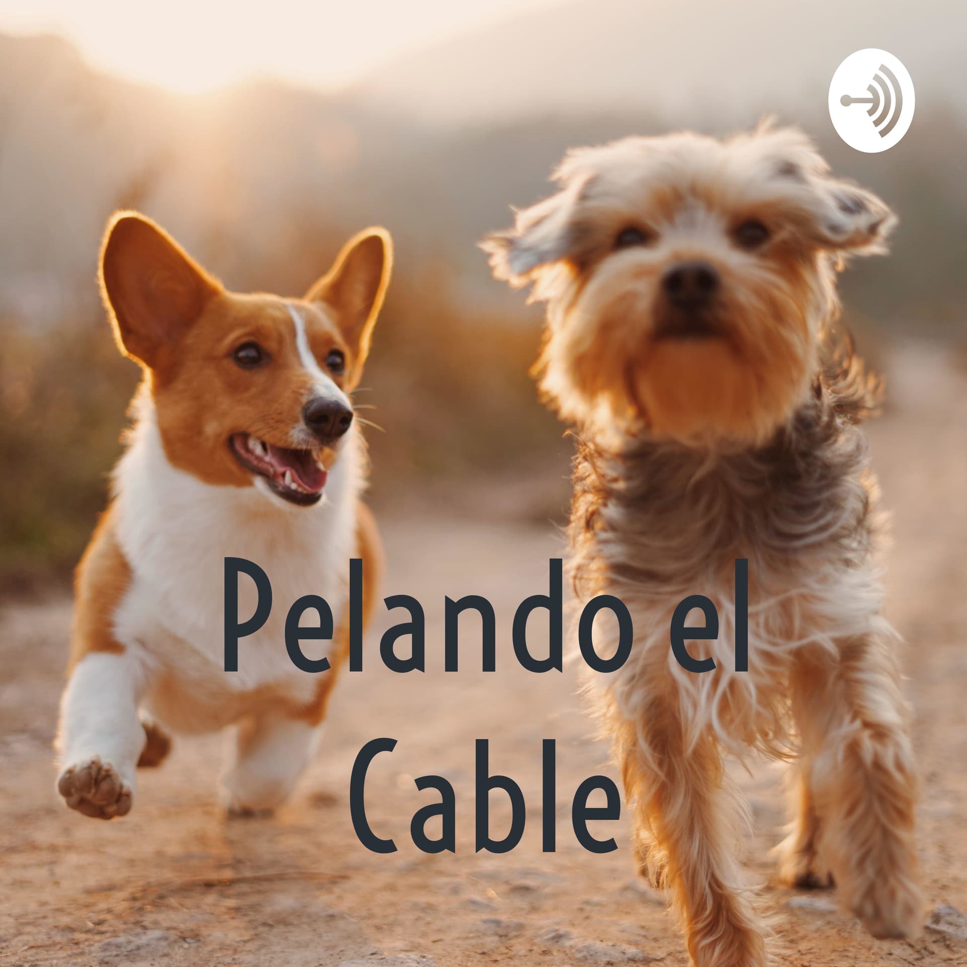 Pelando el Cable - Podcasts
